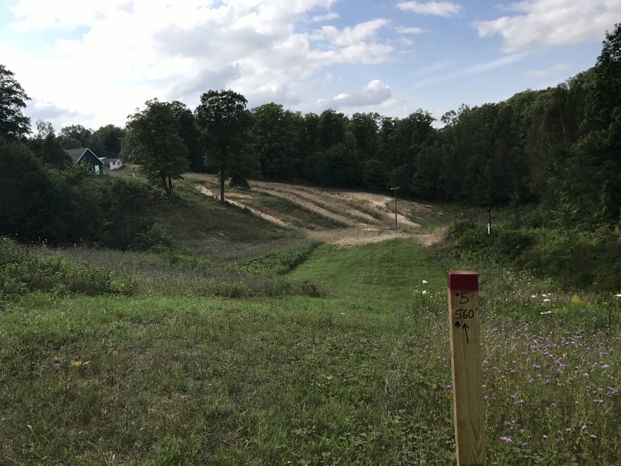 Hole 5 • Hilltop Meadows (Newberry, MI) Disc Golf Courses Disc Golf