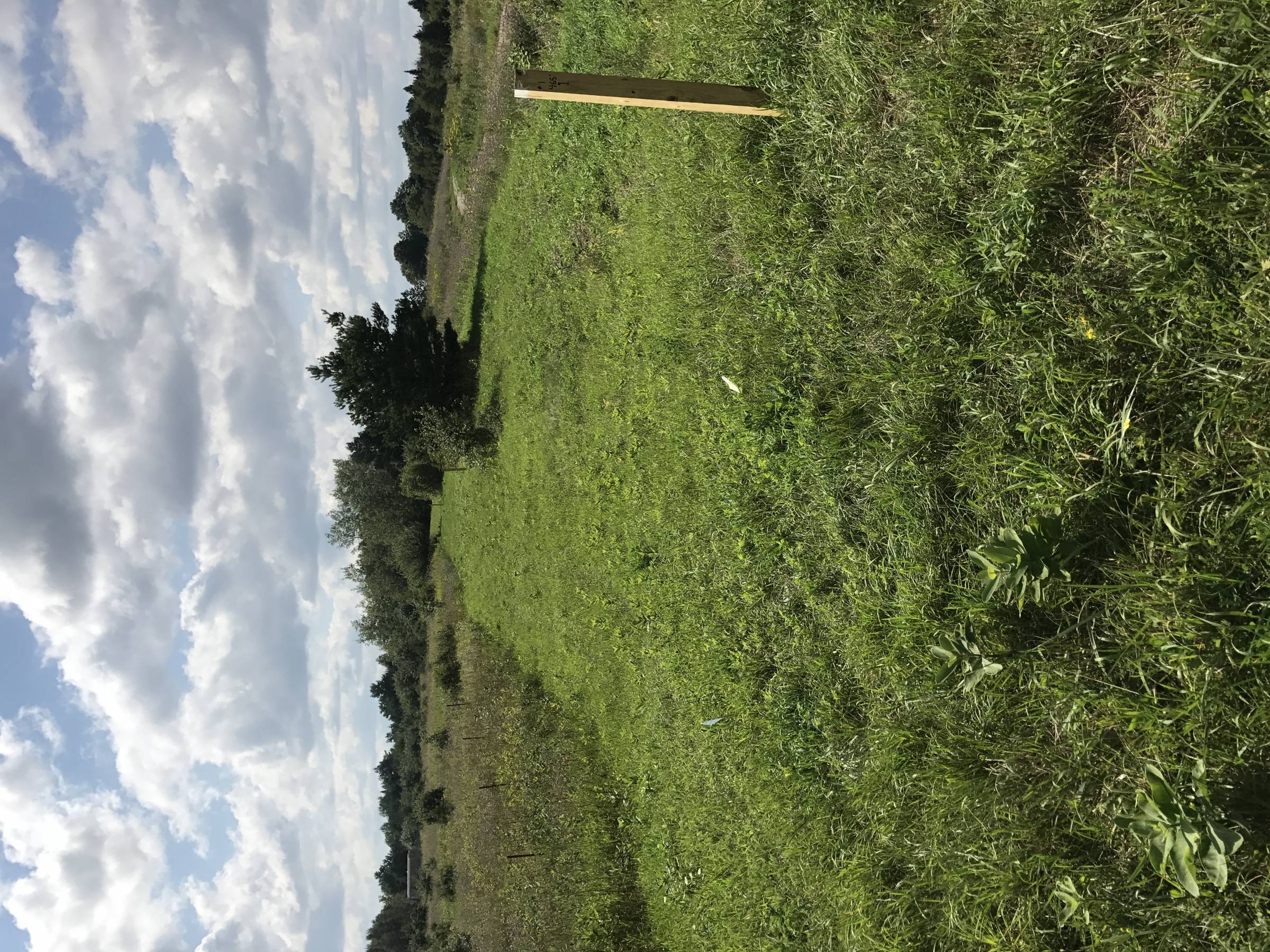 Hole 1 • Hilltop Meadows (Newberry, MI) Disc Golf Courses Disc Golf