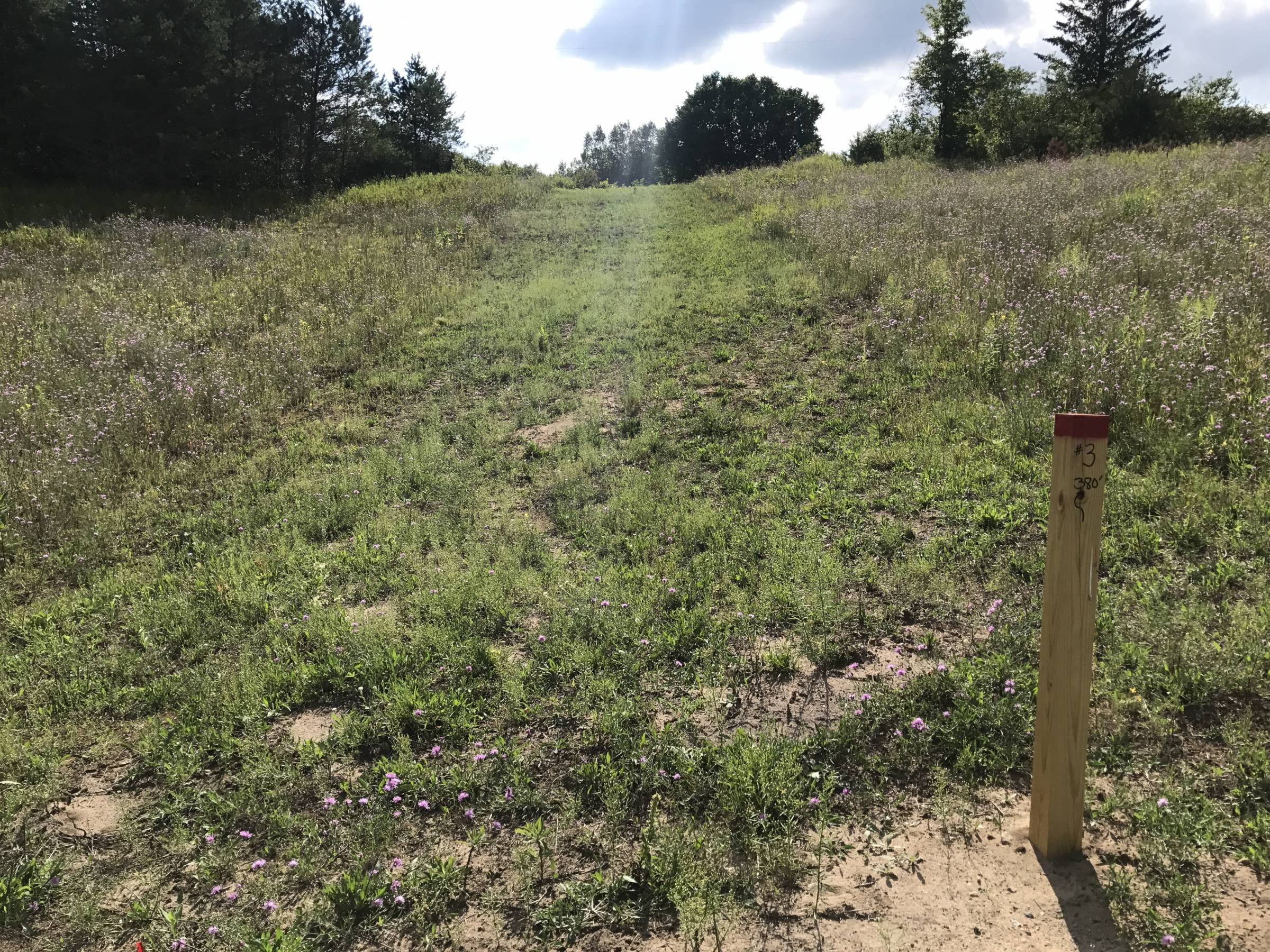 Hole 3 • Hilltop Meadows (Newberry, MI) Disc Golf Courses Disc Golf