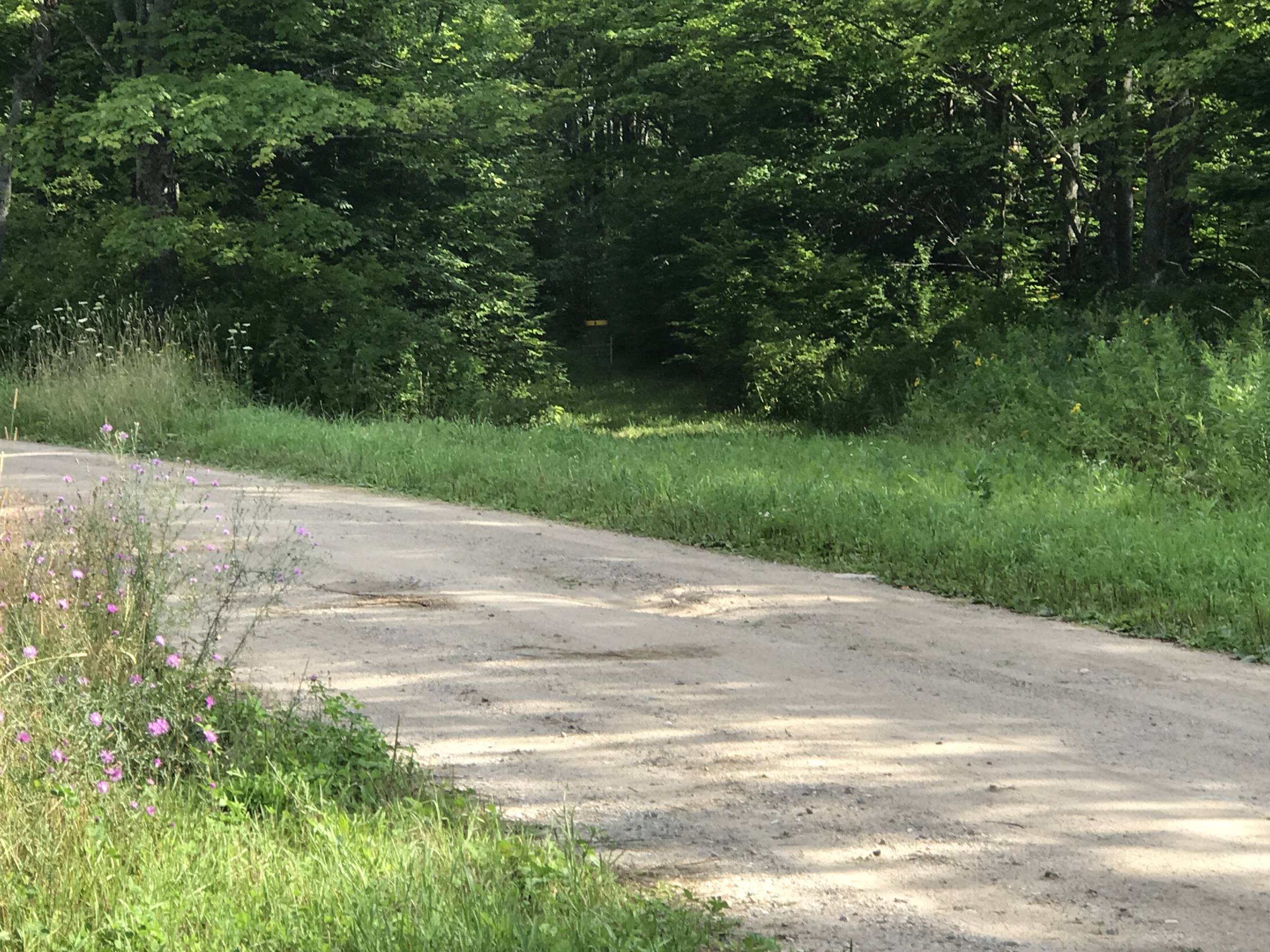 Hole 6 • Hilltop Meadows (Newberry, MI) Disc Golf Courses Disc Golf