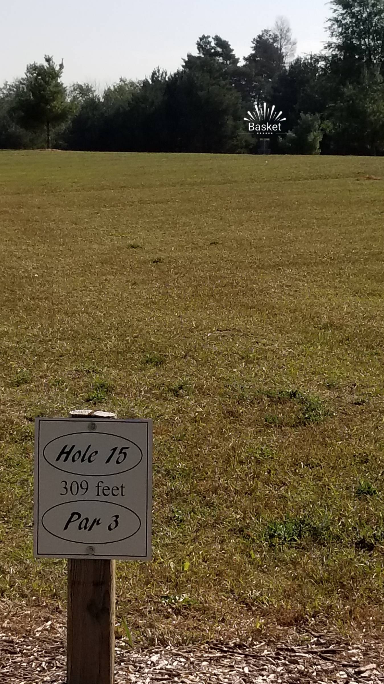 Hole 15 • Camper's Haven Family Campground (Bad Axe, MI) Disc Golf
