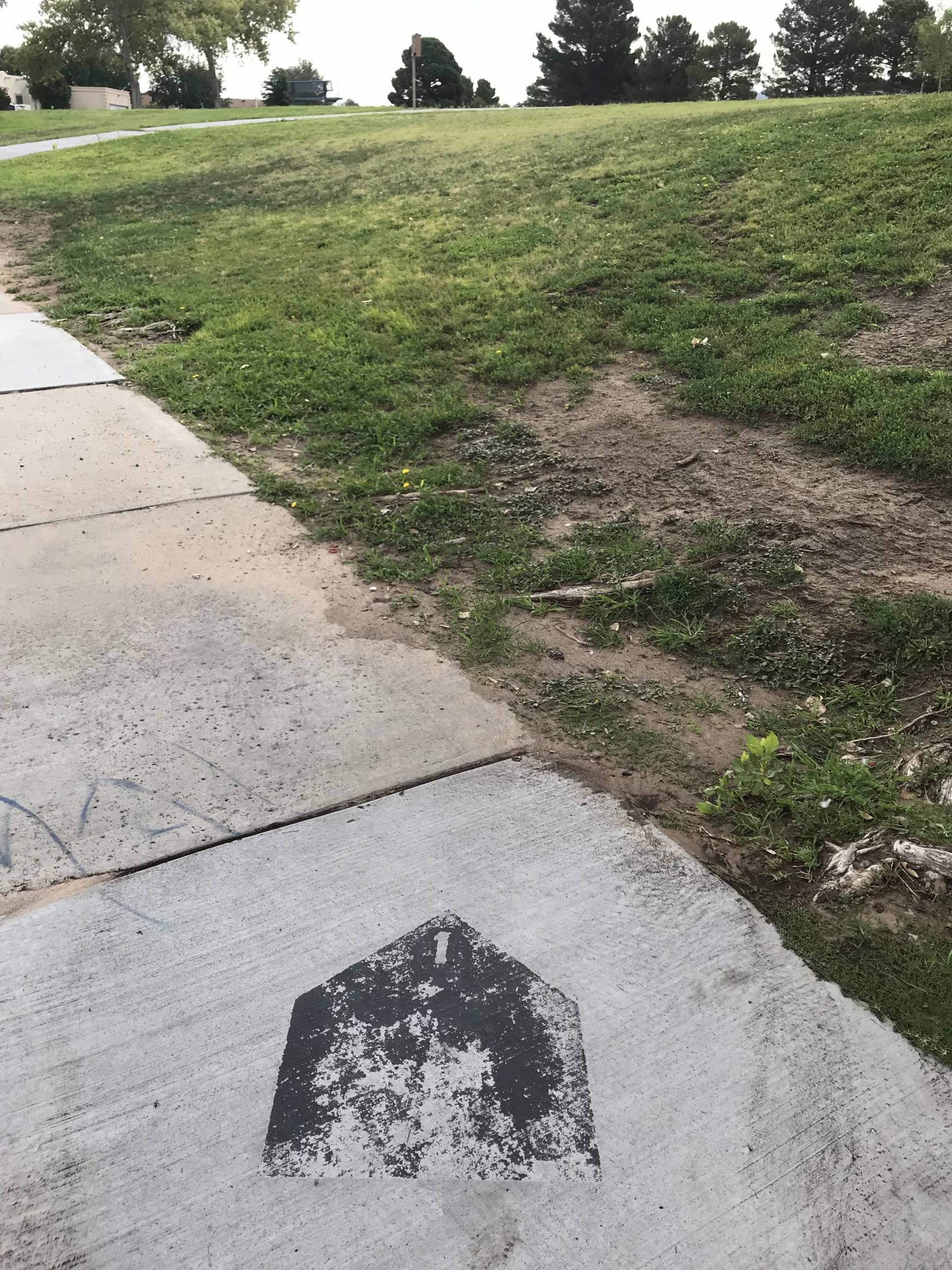 Hole 1 • Sunrise Terrace Park (Las Cruces, NM) Disc Golf Courses