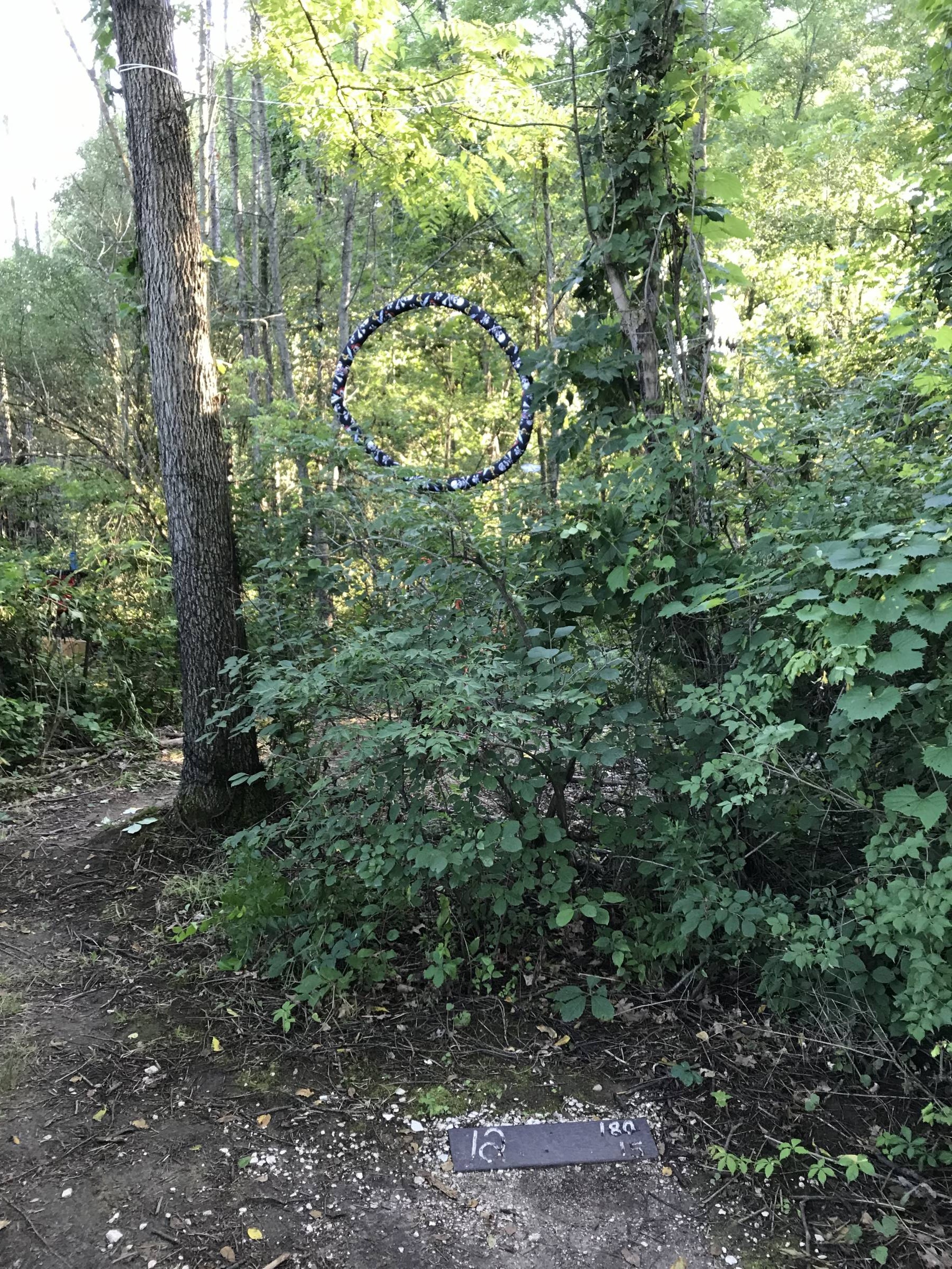 Hole 12 • The Disc Golf Labyrinth / Rolling Hills County Park