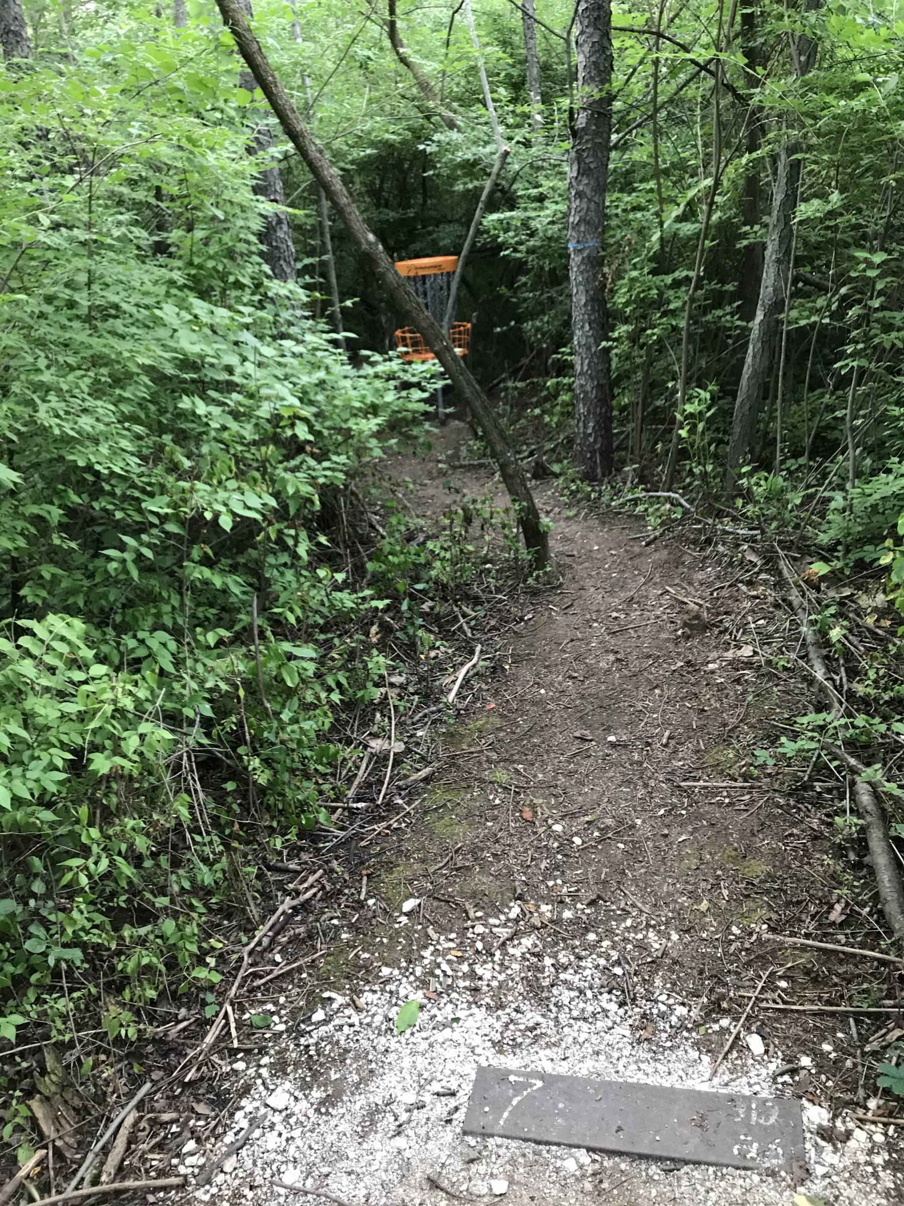Hole 7 • The Disc Golf Labyrinth / Rolling Hills County Park (Ypsilanti