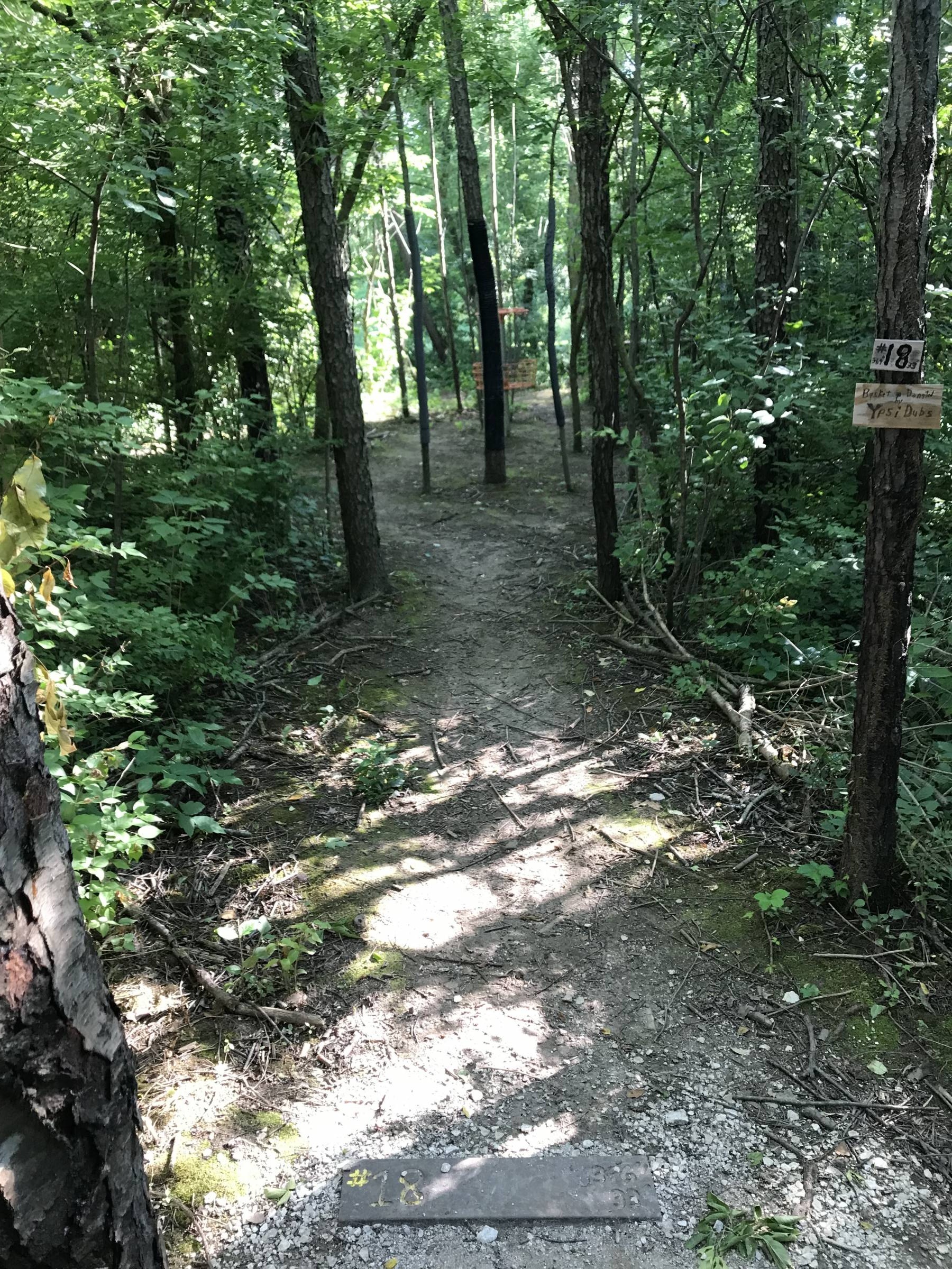 Hole 18 • The Disc Golf Labyrinth / Rolling Hills County Park