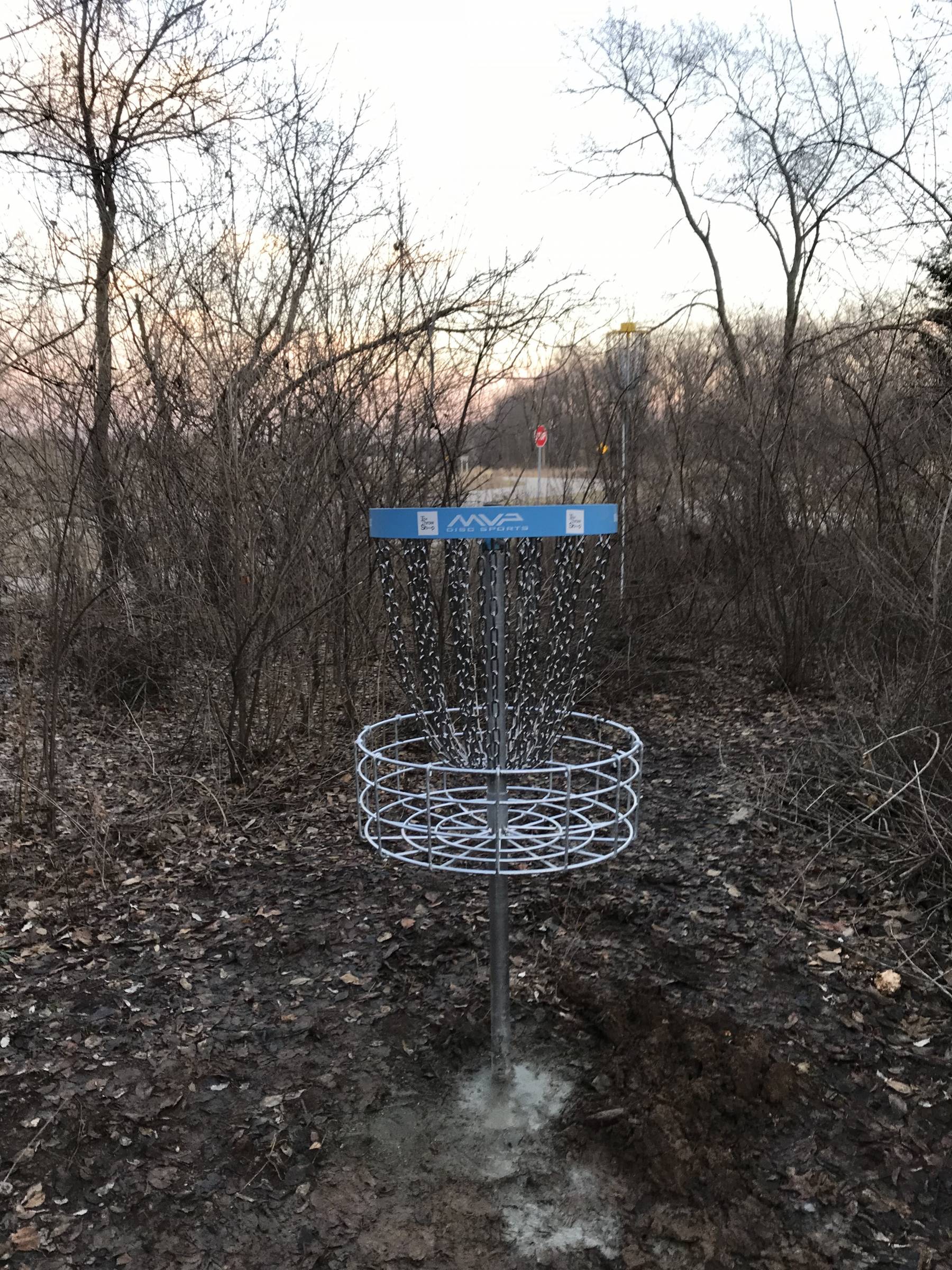 Hole 3 • The Disc Golf Labyrinth / Rolling Hills County Park (Ypsilanti