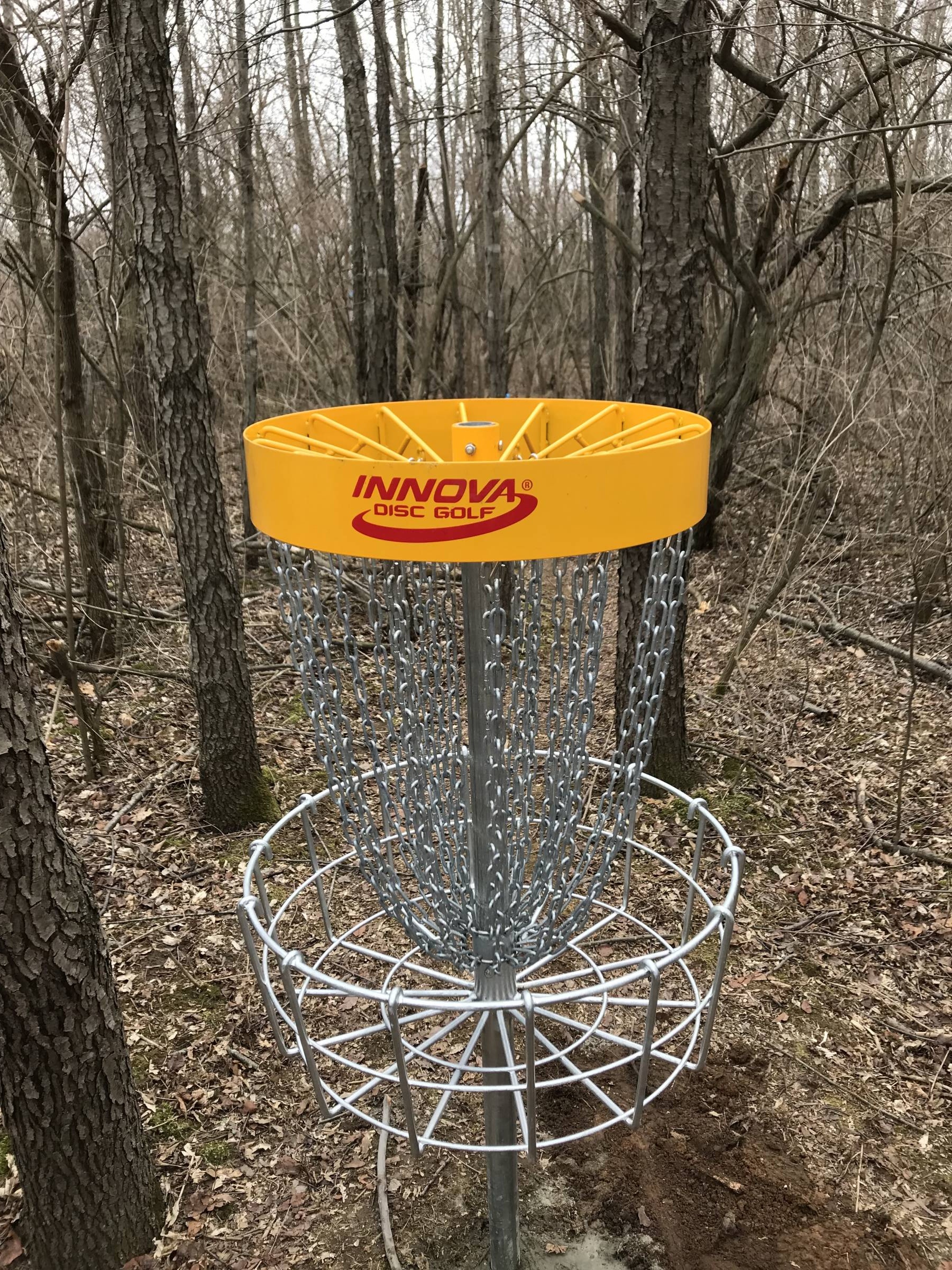 Hole 8 • The Disc Golf Labyrinth / Rolling Hills County Park (Ypsilanti