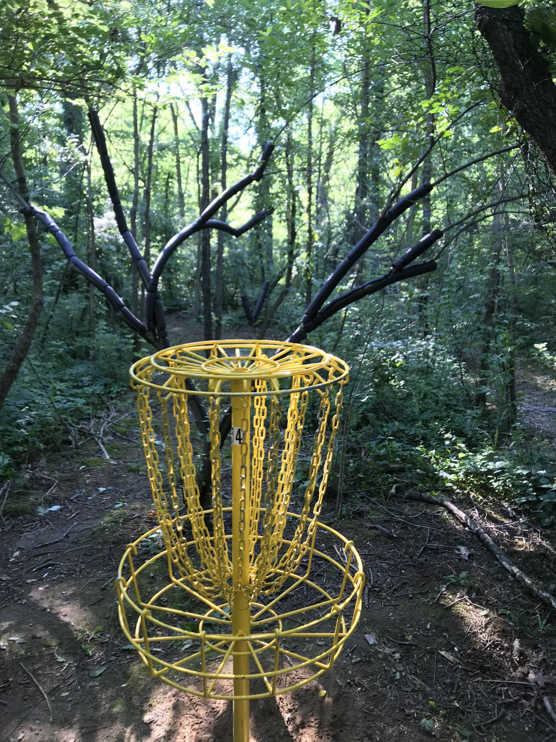 Hole 15 • The Disc Golf Labyrinth / Rolling Hills County Park