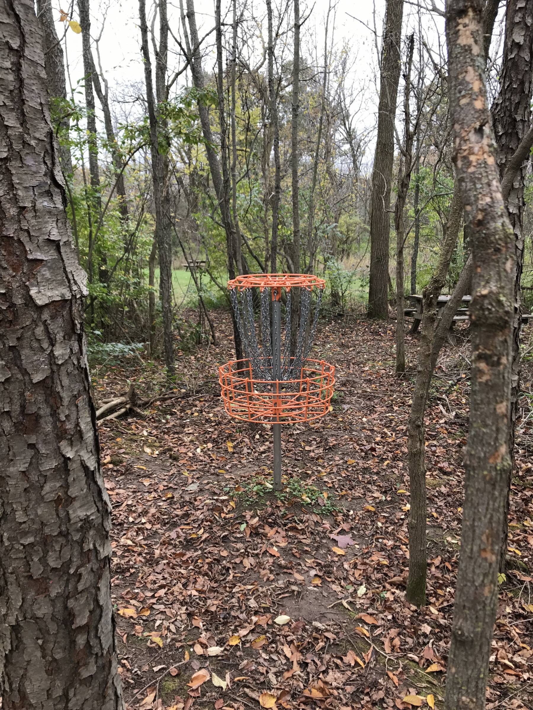 Hole 18 • The Disc Golf Labyrinth / Rolling Hills County Park