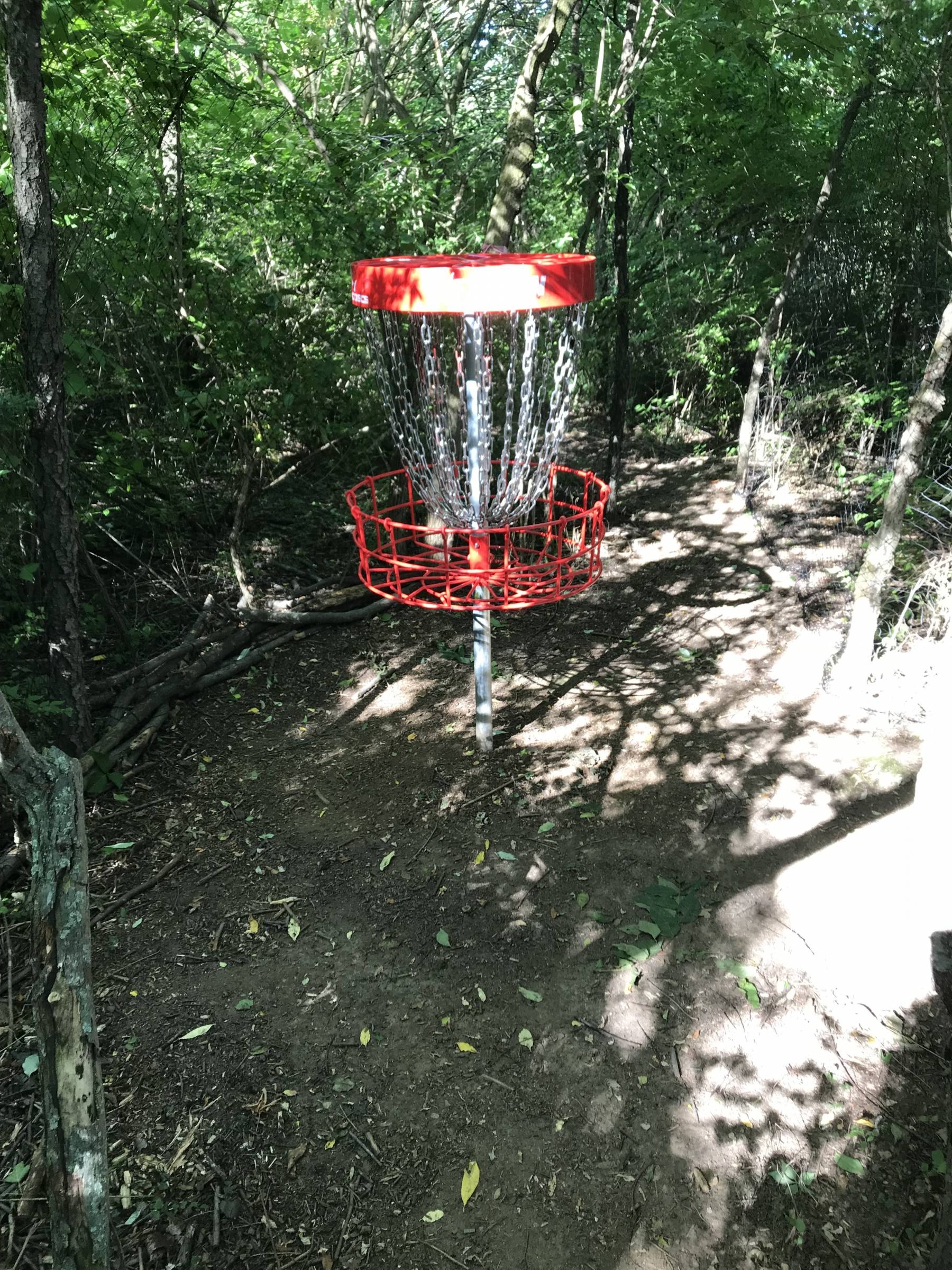 Hole 1 • The Disc Golf Labyrinth / Rolling Hills County Park (Ypsilanti