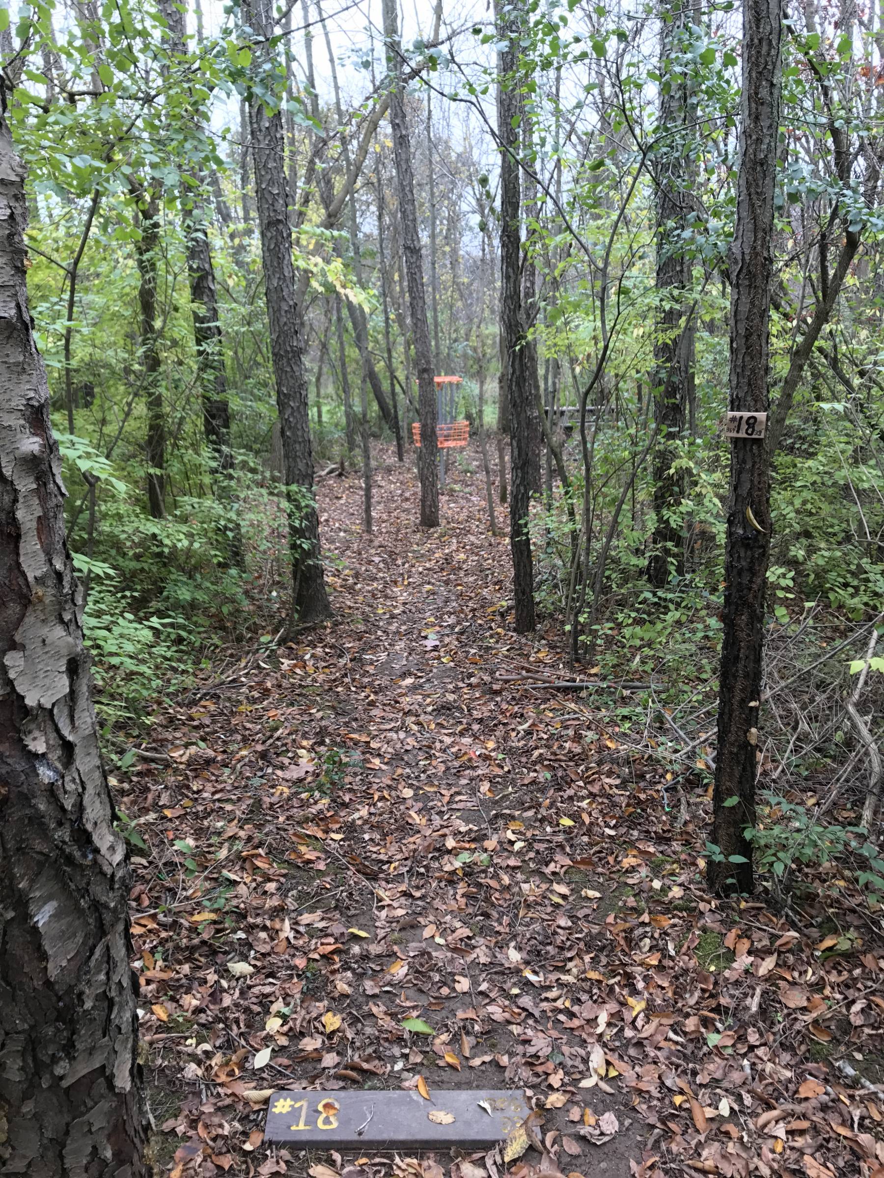 Hole 18 • The Disc Golf Labyrinth / Rolling Hills County Park