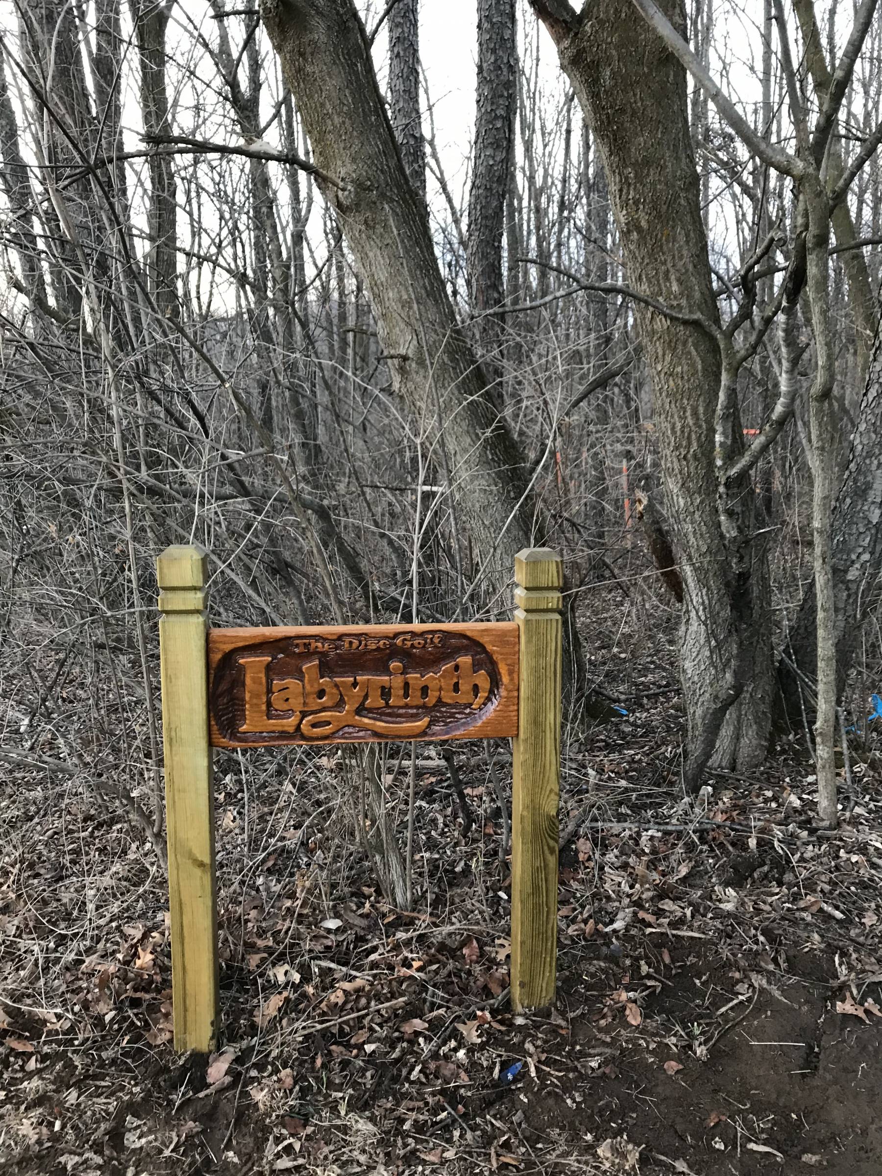 Hole 1 • The Disc Golf Labyrinth / Rolling Hills County Park (Ypsilanti