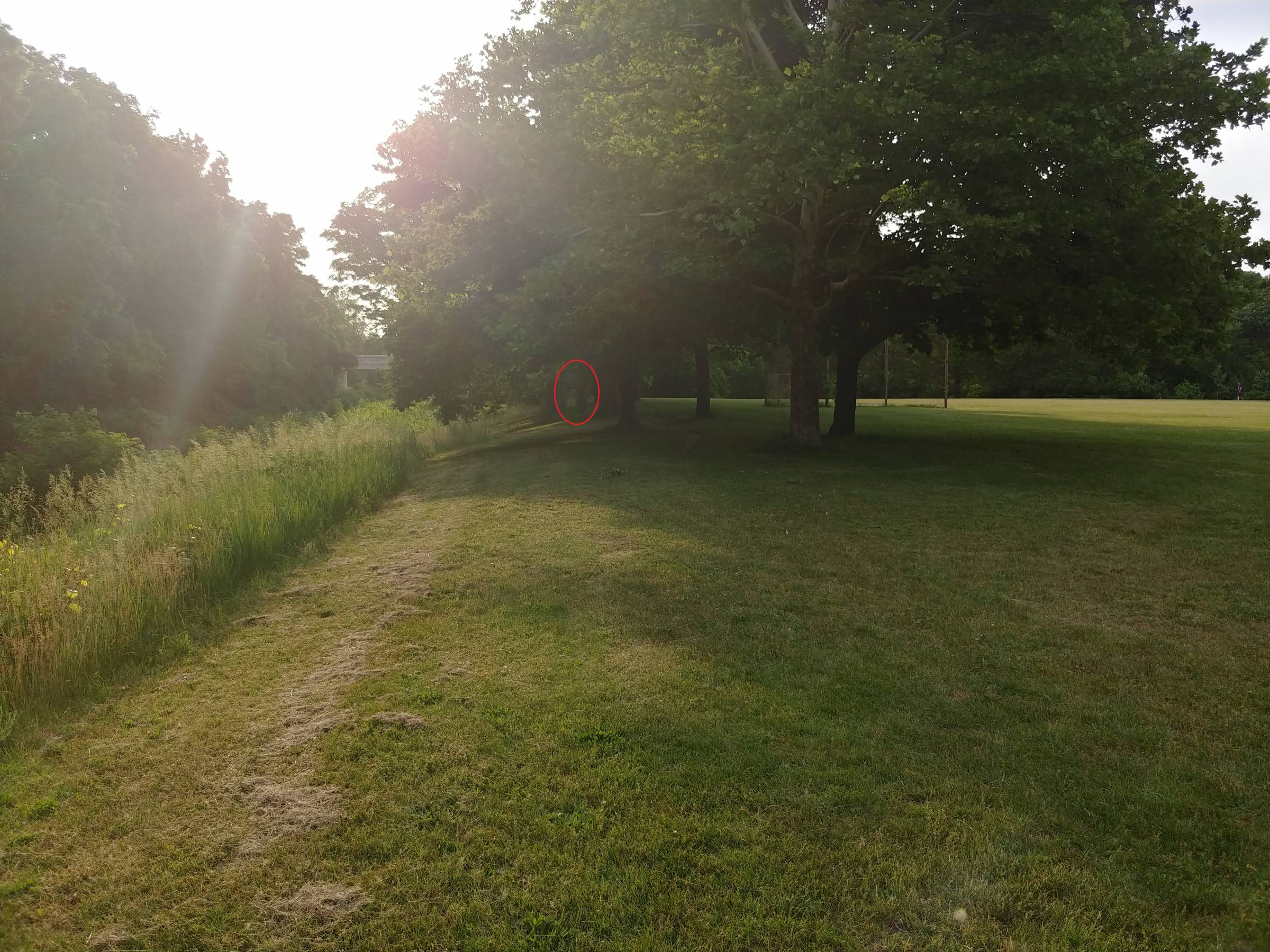 Hole 1 • Highland Park (Grand Rapids, MI) Disc Golf Courses Disc