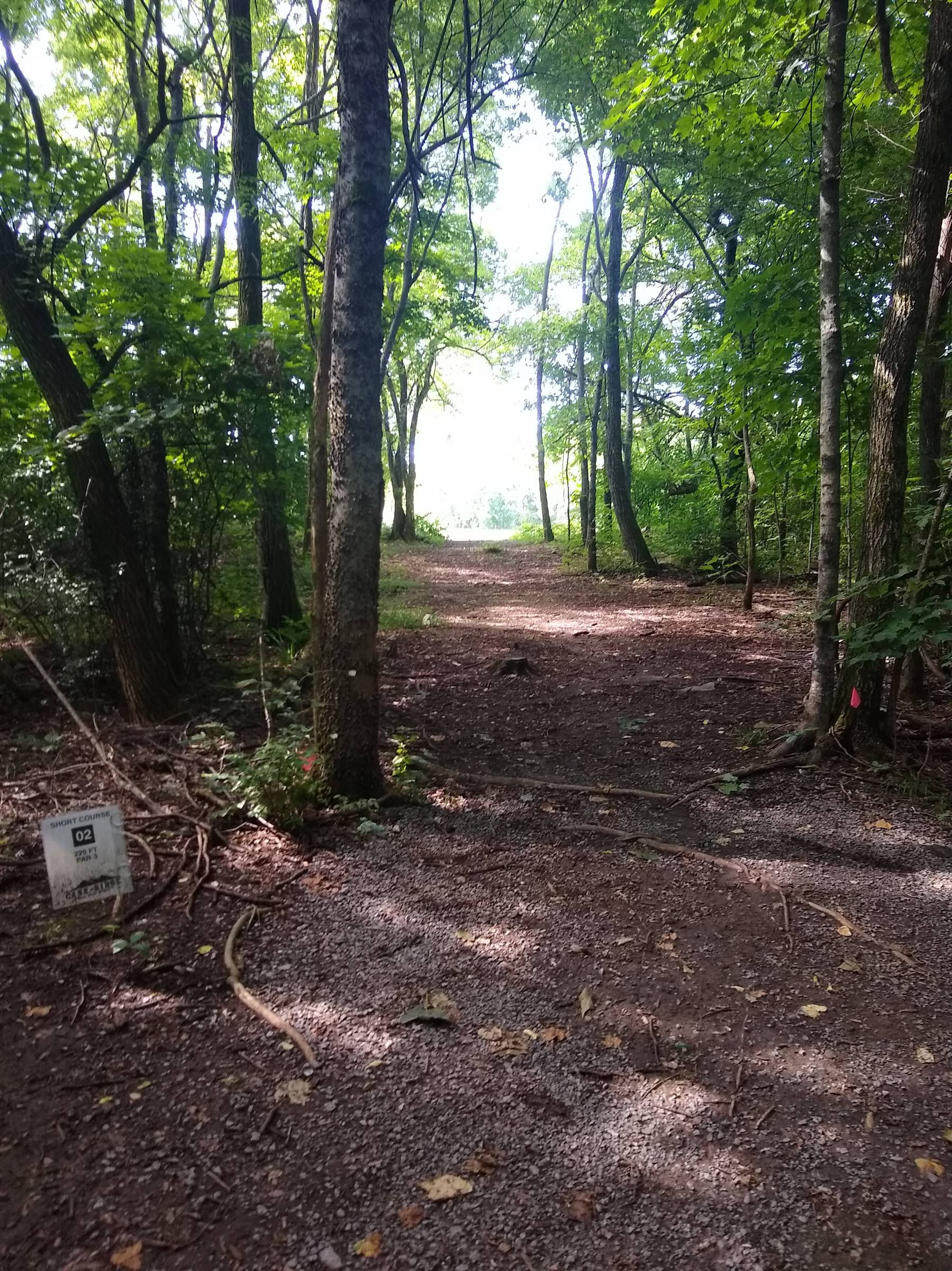 Hole 2 • Short course / Cane Ridge Park (Nashville, TN) Disc Golf