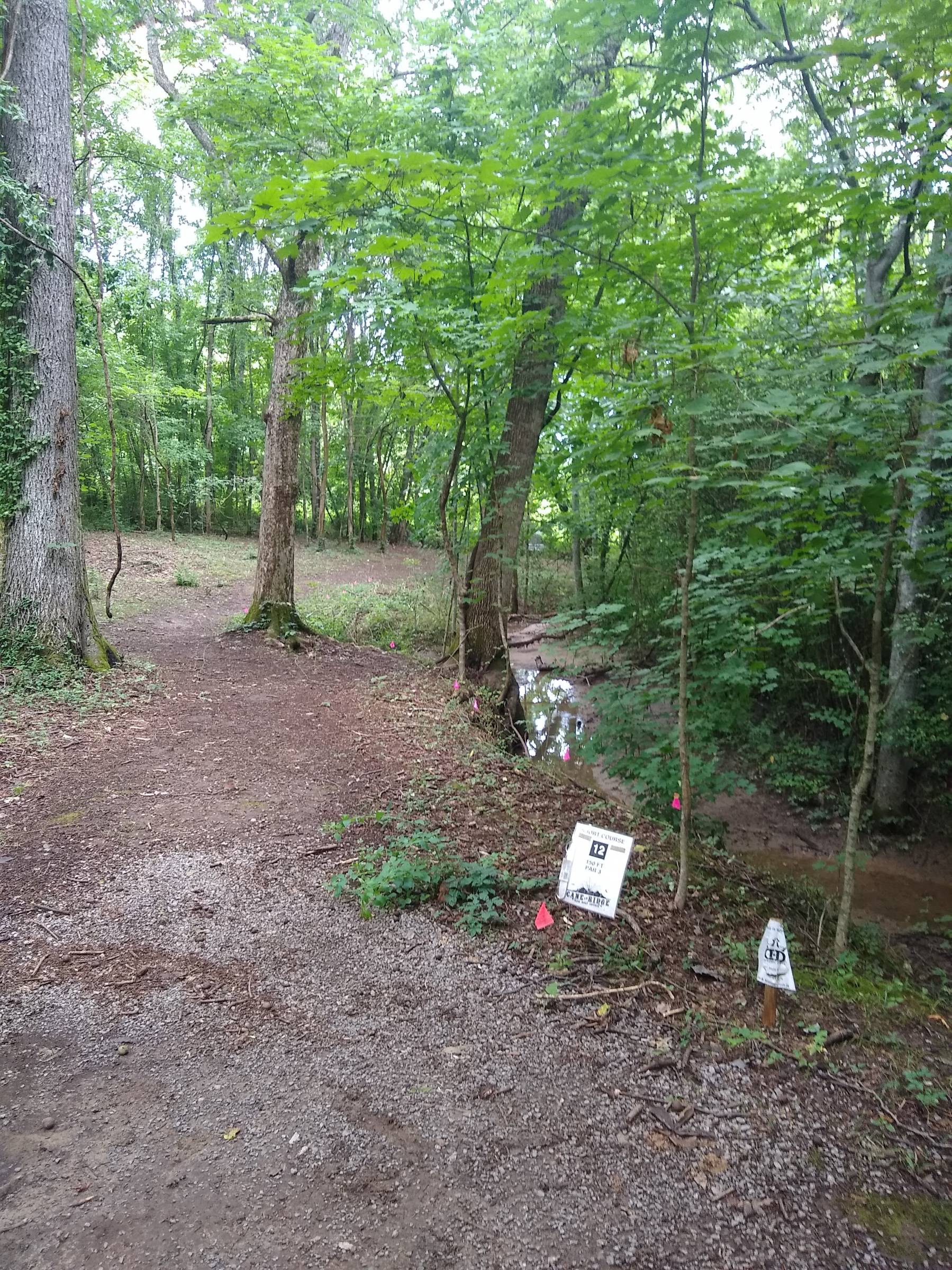 Hole 12 • Short course / Cane Ridge Park (Nashville, TN) Disc Golf Courses Disc Golf Scene
