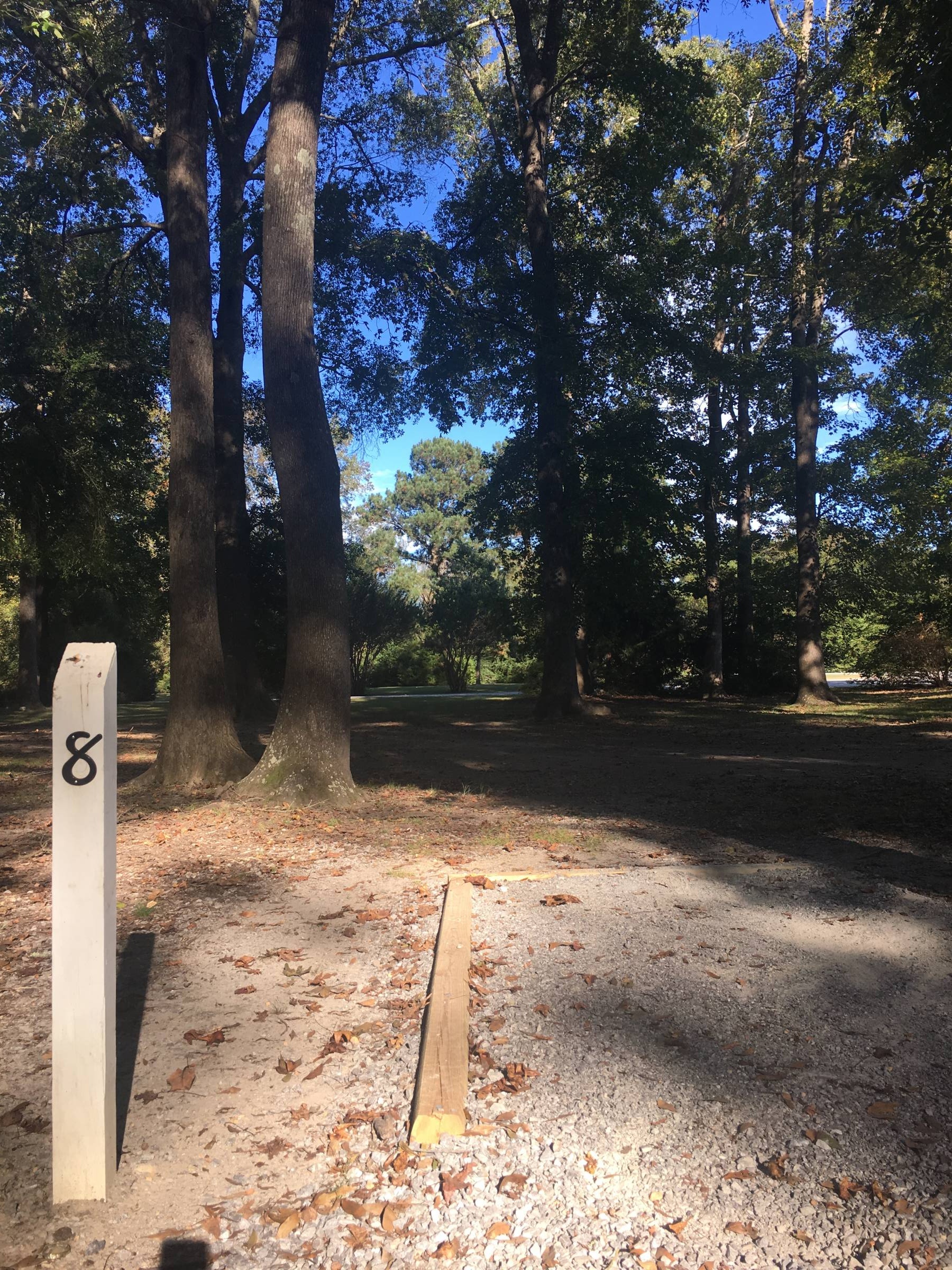 Hole 8 • Clanton City Park (Clanton, AL) Disc Golf Courses Disc