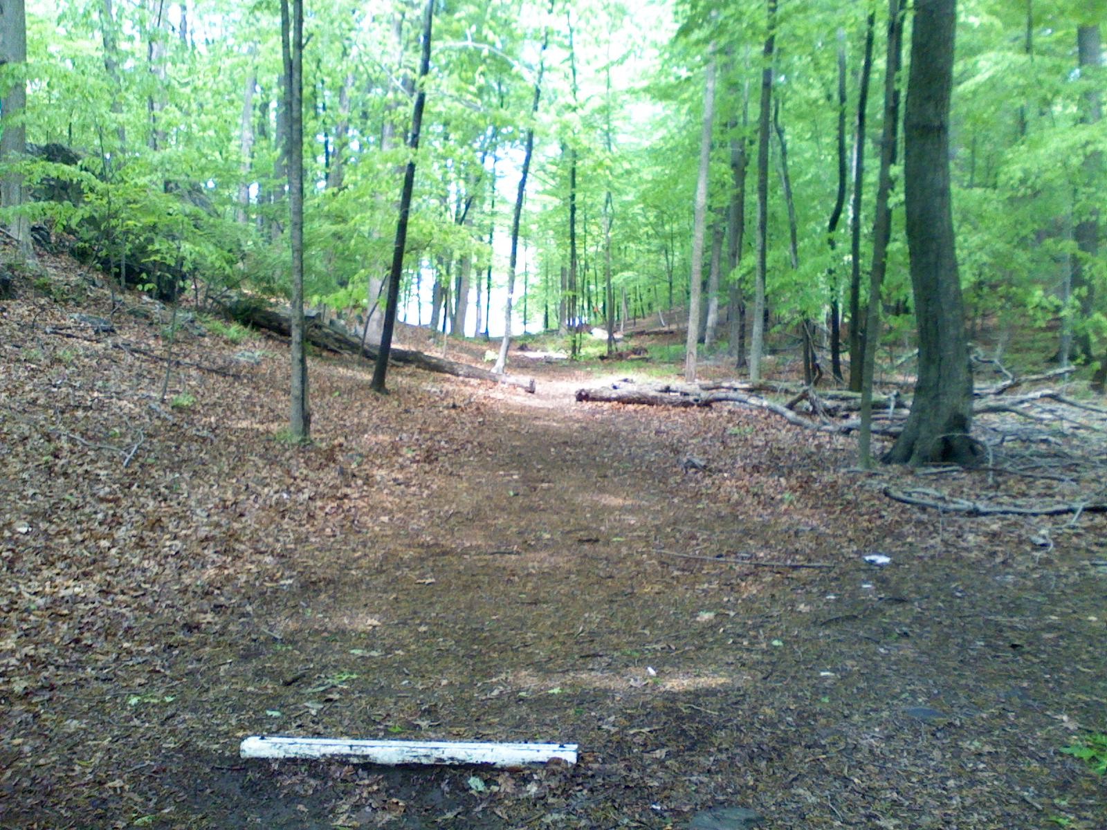Hole 8 • Leonard Park (Mt. Kisco, NY) Disc Golf Courses Disc Golf Scene