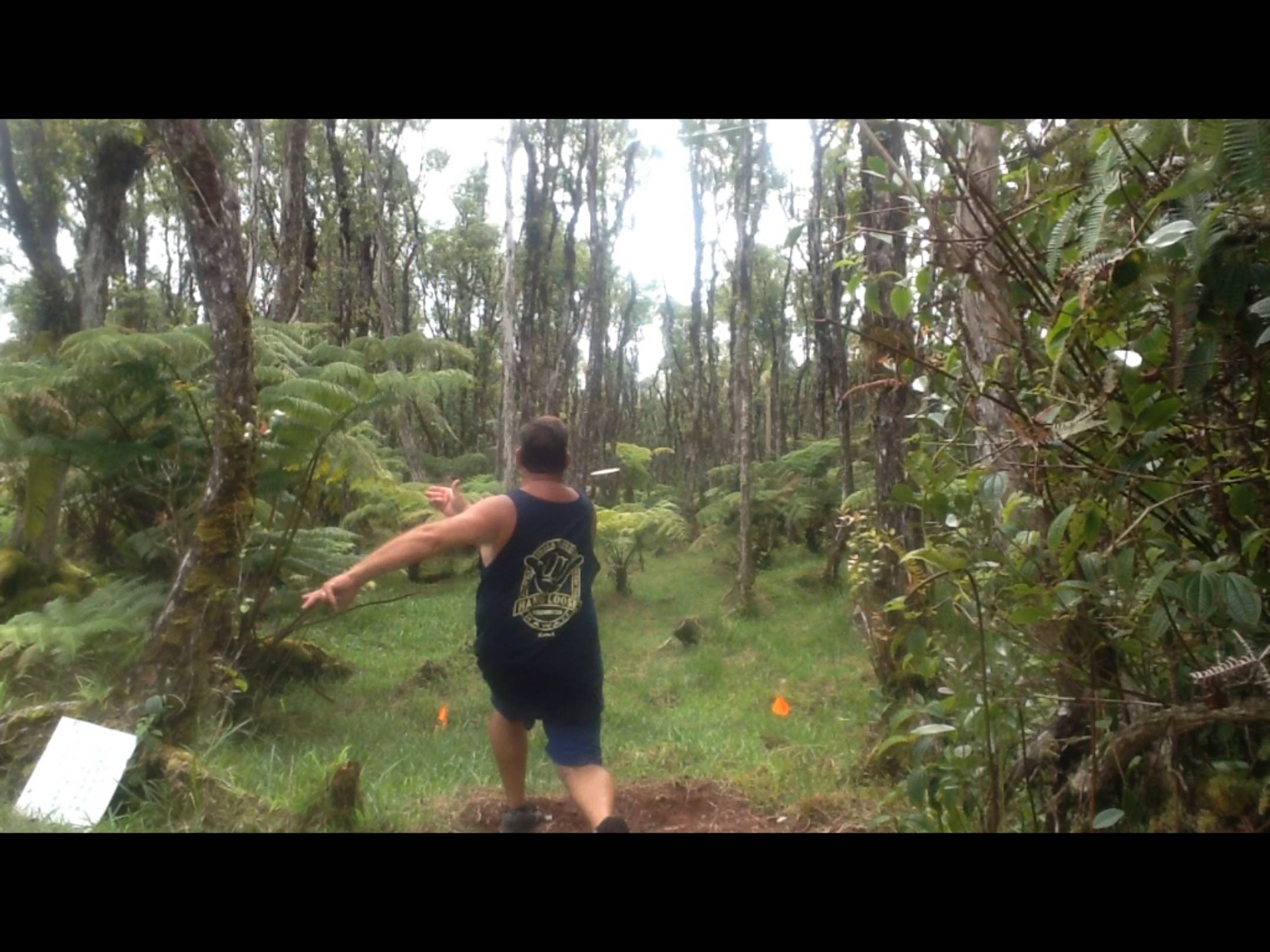 Hole 5 • Gargoyle's Garden (Mt. View, HI) Disc Golf Courses Disc
