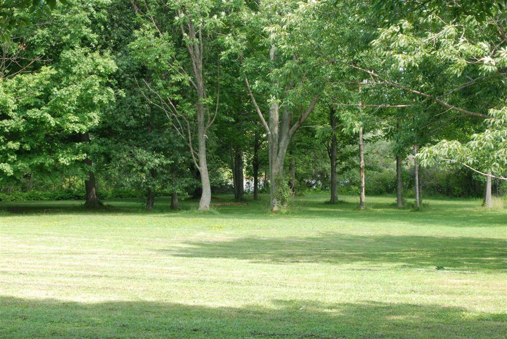 Hole 8 • Churchville Park (Rochester (Churchville), NY) Disc Golf