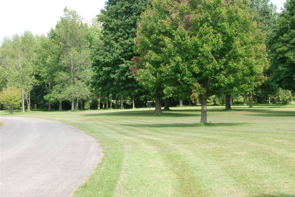 Hole 7 • Churchville Park (Rochester (Churchville), NY) Disc Golf