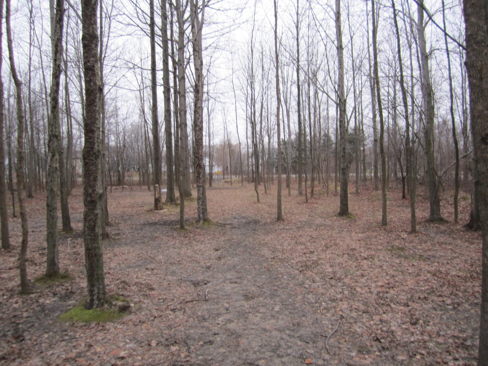 Hole 1 • Basil Marella Park (Rochester (Greece), NY) Disc Golf
