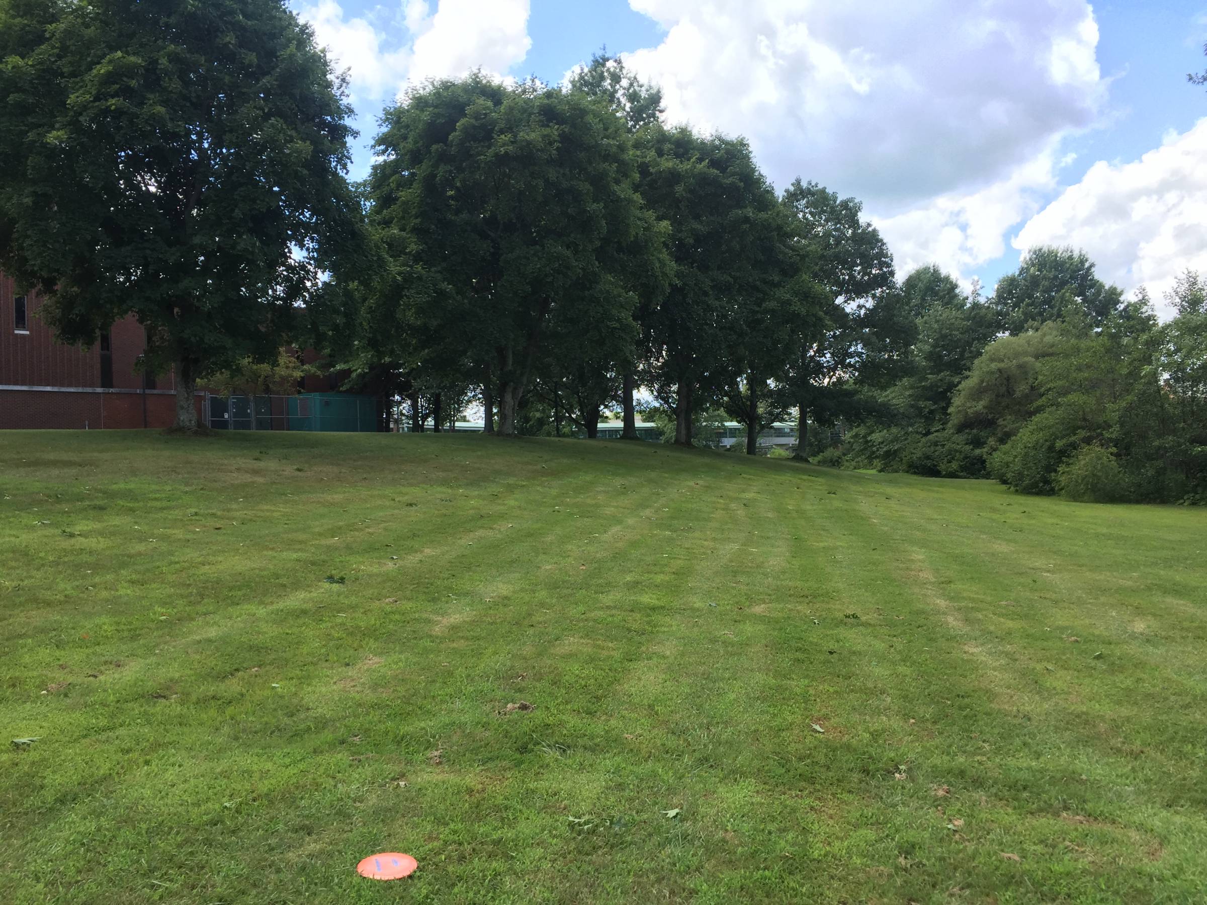 Hole 1 • Royal Scots Disc Golf Links / Edinboro University (Edinboro