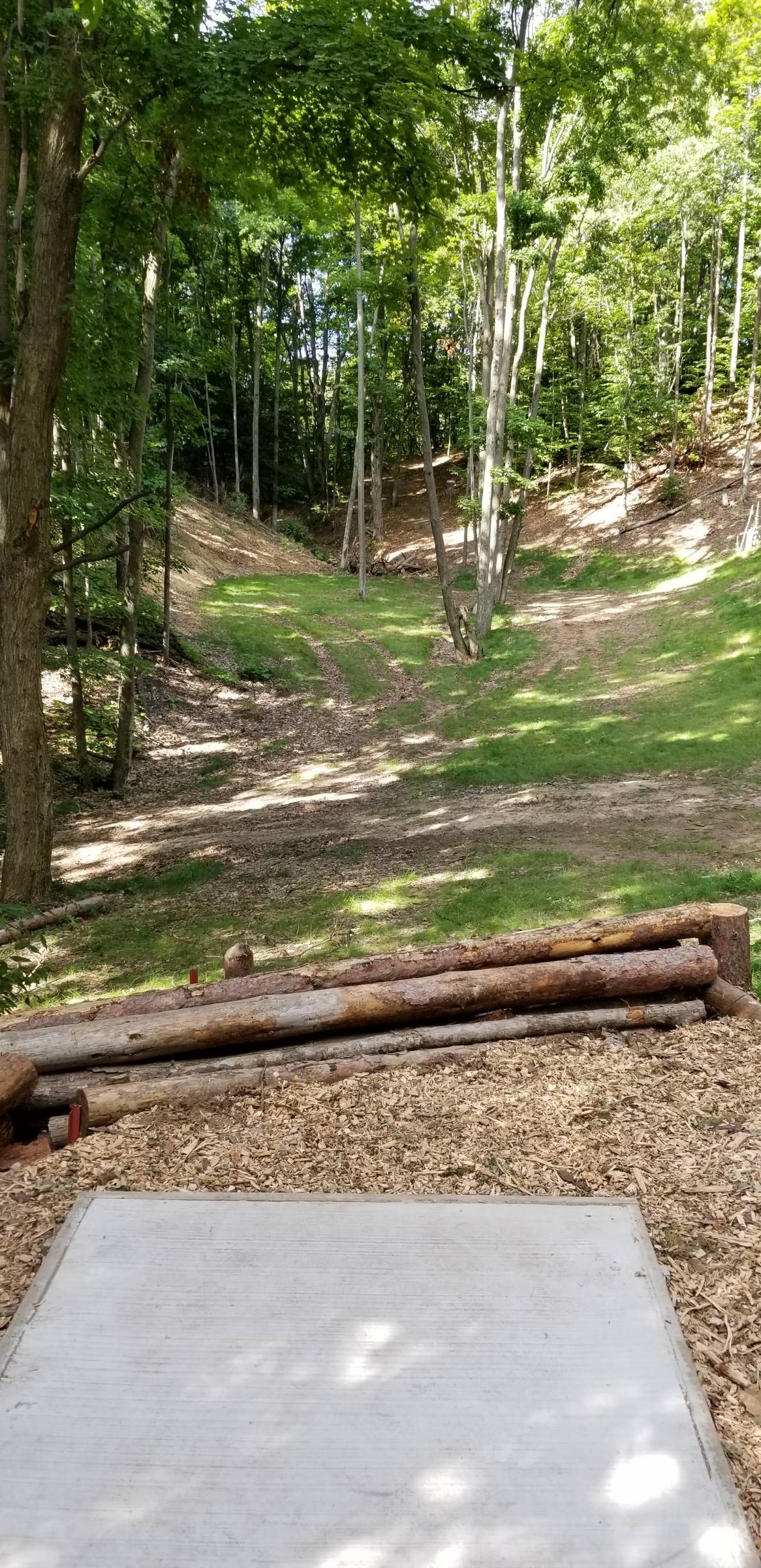 Hole 6 • South / Hickory Hills (Traverse City, MI) Disc Golf Courses