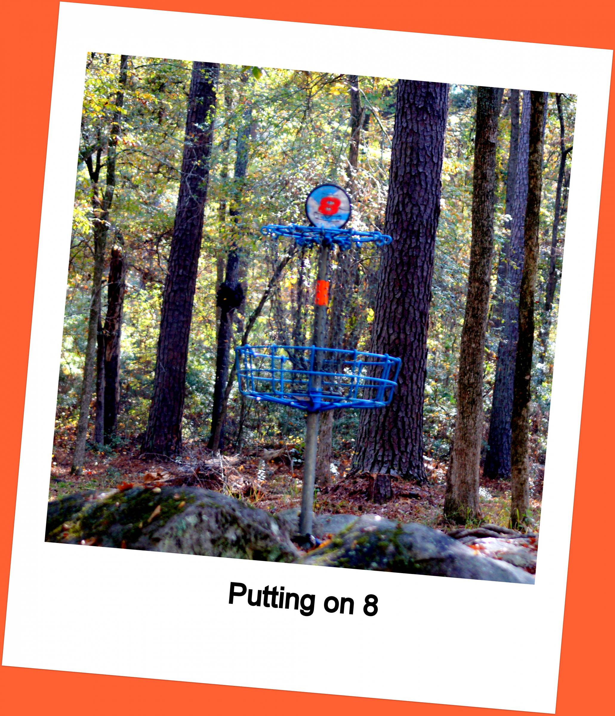 Hole 8 • Steady Ed Headrick Memorial / International Disc Golf Center