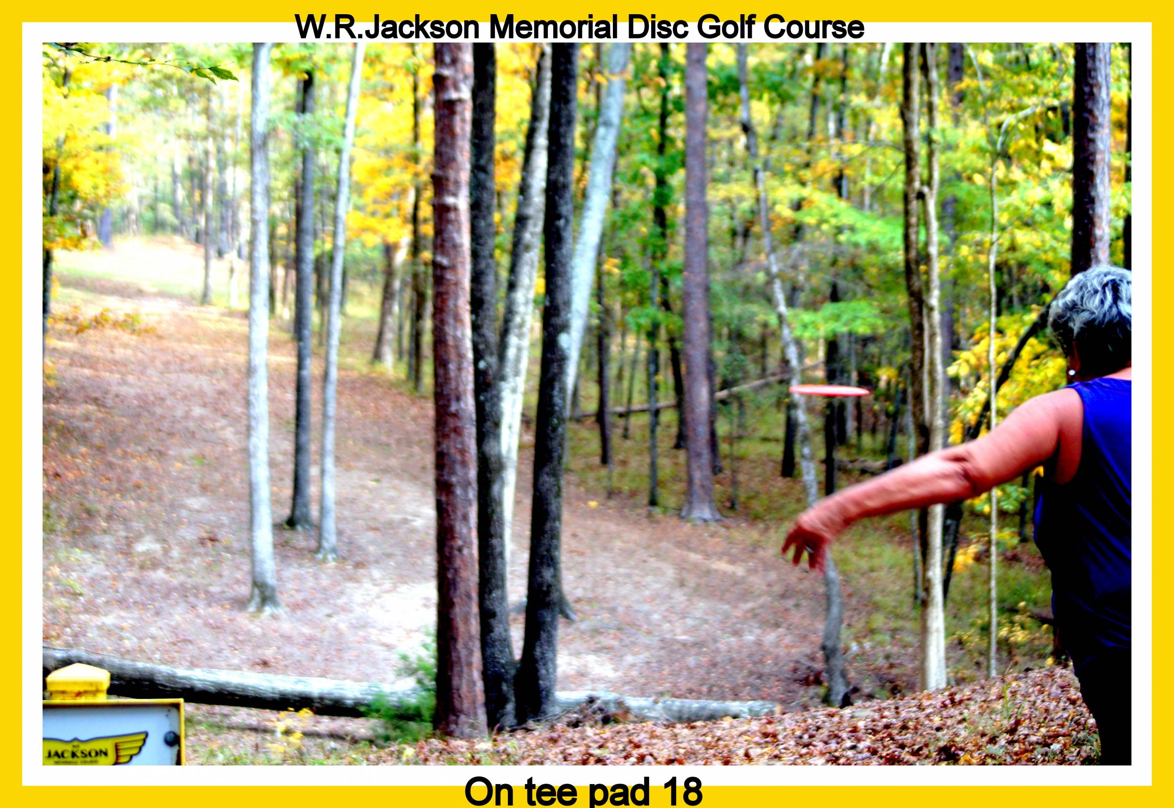 Hole 18 • WR Jackson Memorial / International Disc Golf Center (Appling