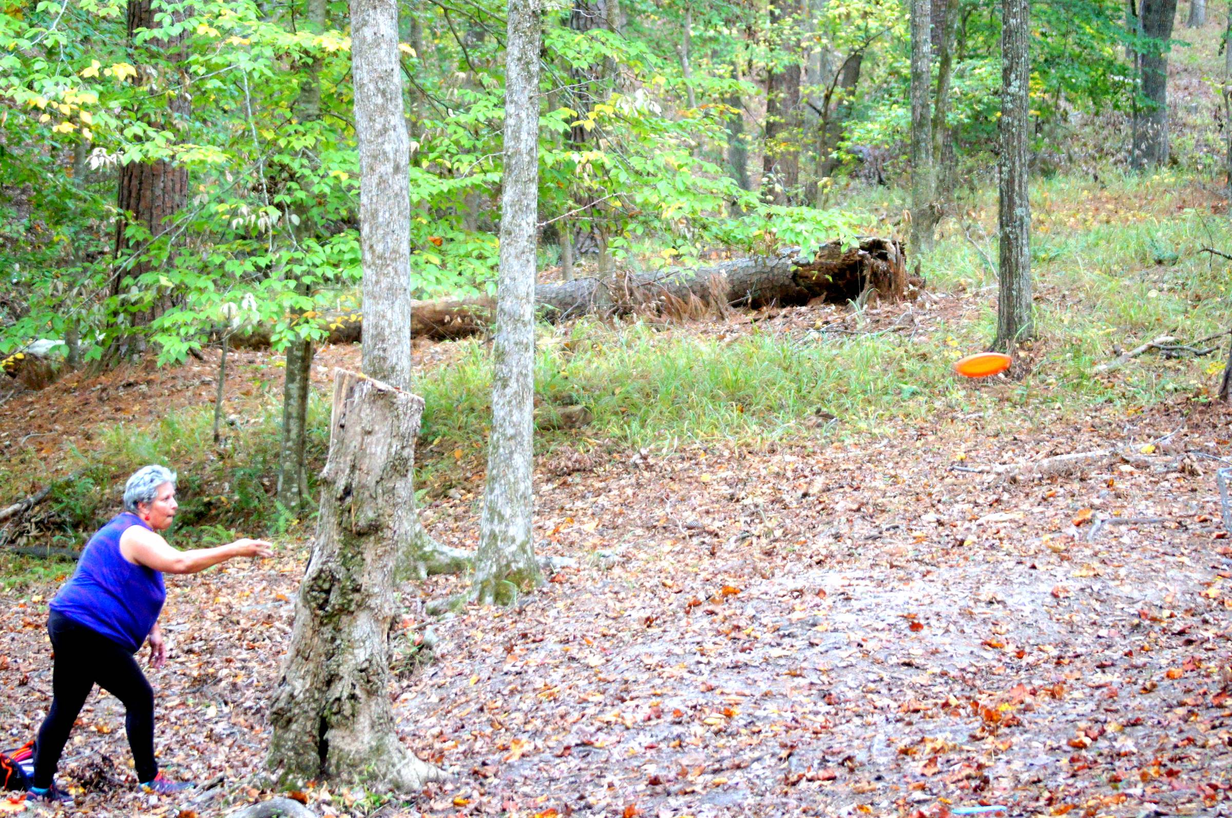 Hole 16 • WR Jackson Memorial / International Disc Golf Center (Appling