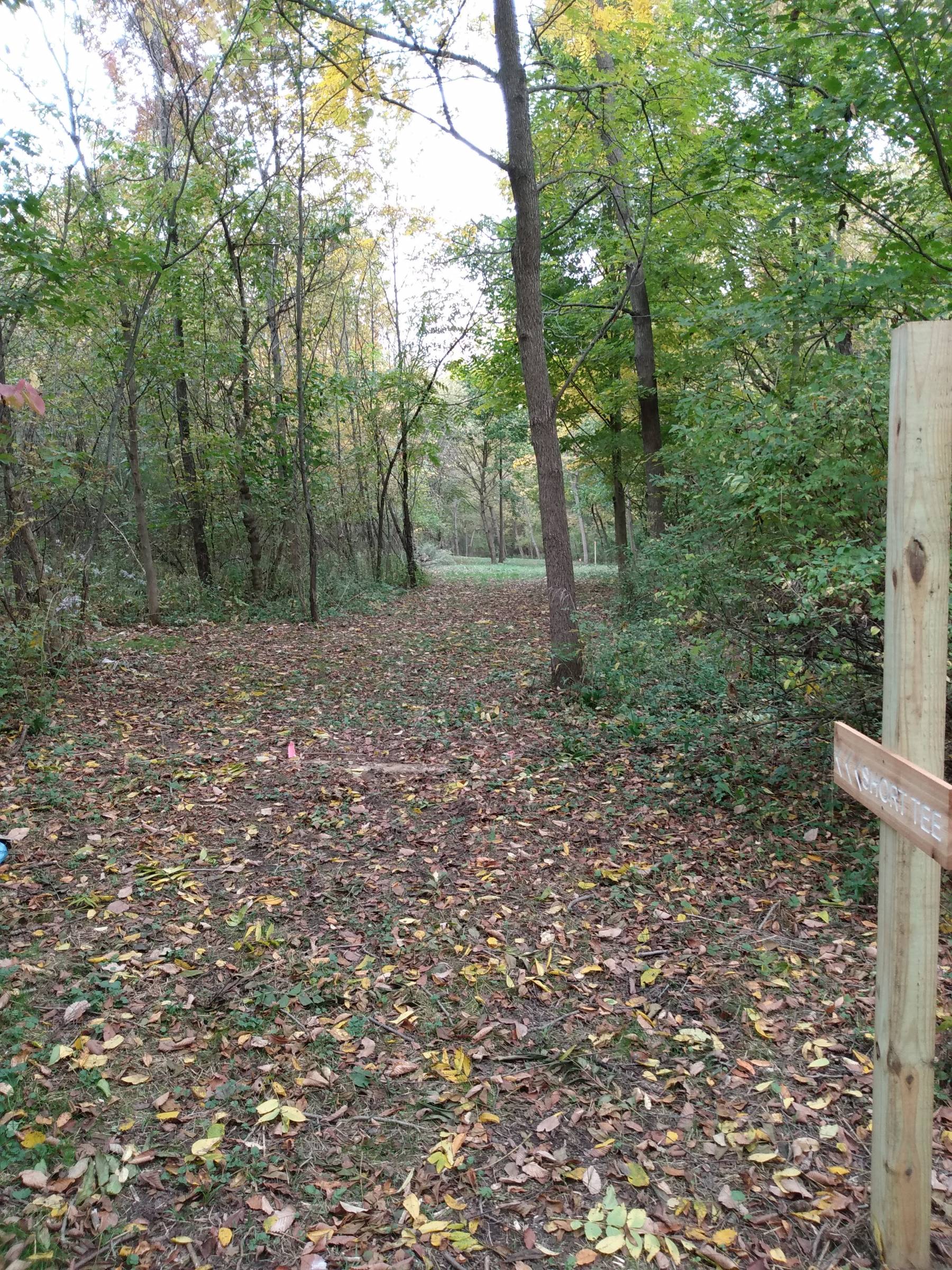 Hole 6 • Johnson UMC (Norton, OH) Disc Golf Courses Disc Golf Scene