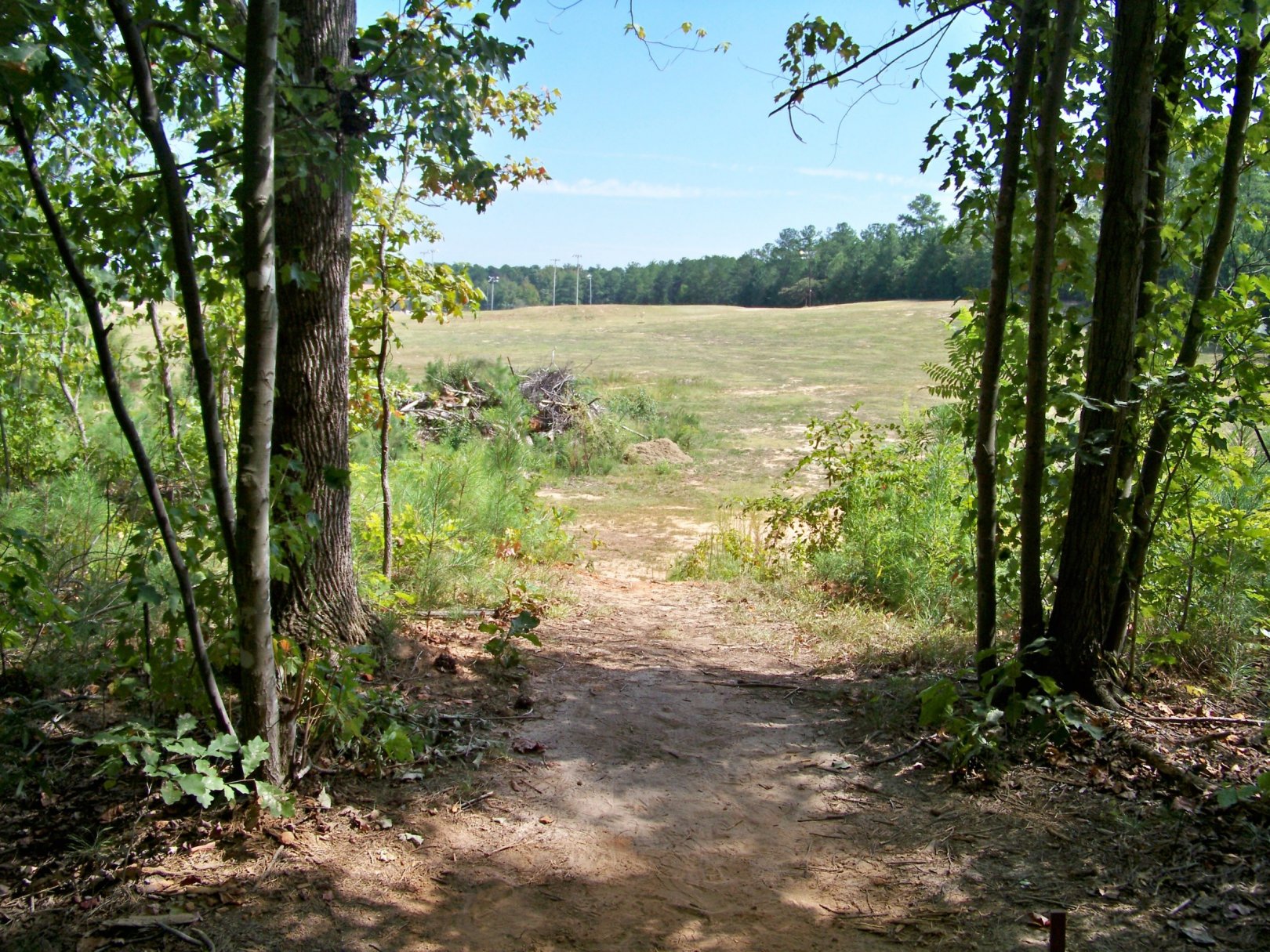 Hole 16 • Deer Lick Park (Douglasville, GA) Disc Golf Courses Disc