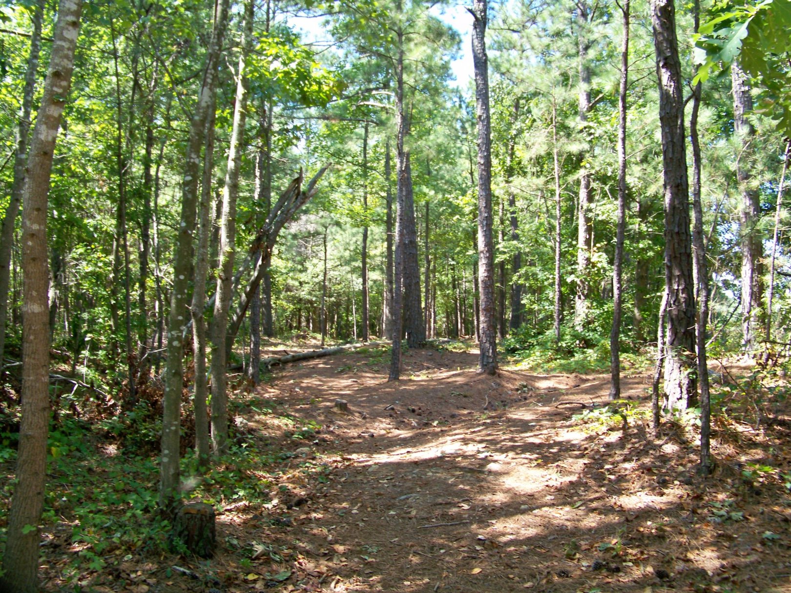 Hole 10 • Deer Lick Park (Douglasville, GA) Disc Golf Courses Disc