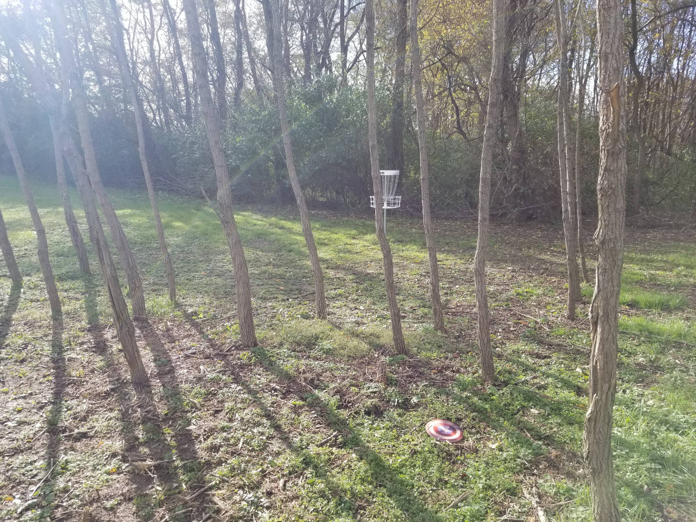 Hole 4 • Campground course / Caesar Ford Park (Xenia, OH) Disc Golf