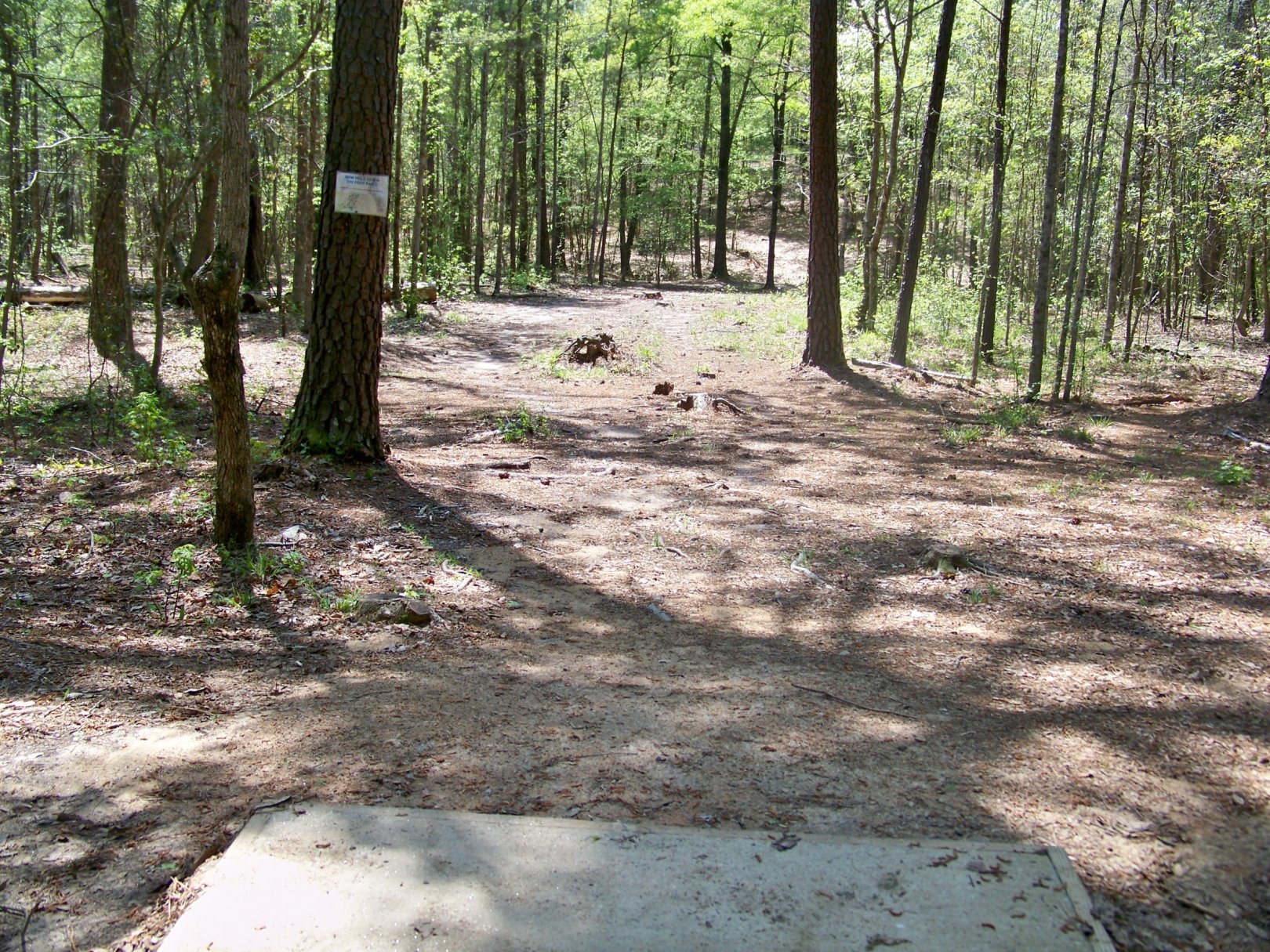 Hole 10 • Patriot's Park (Grovetown, GA) Disc Golf Courses Disc