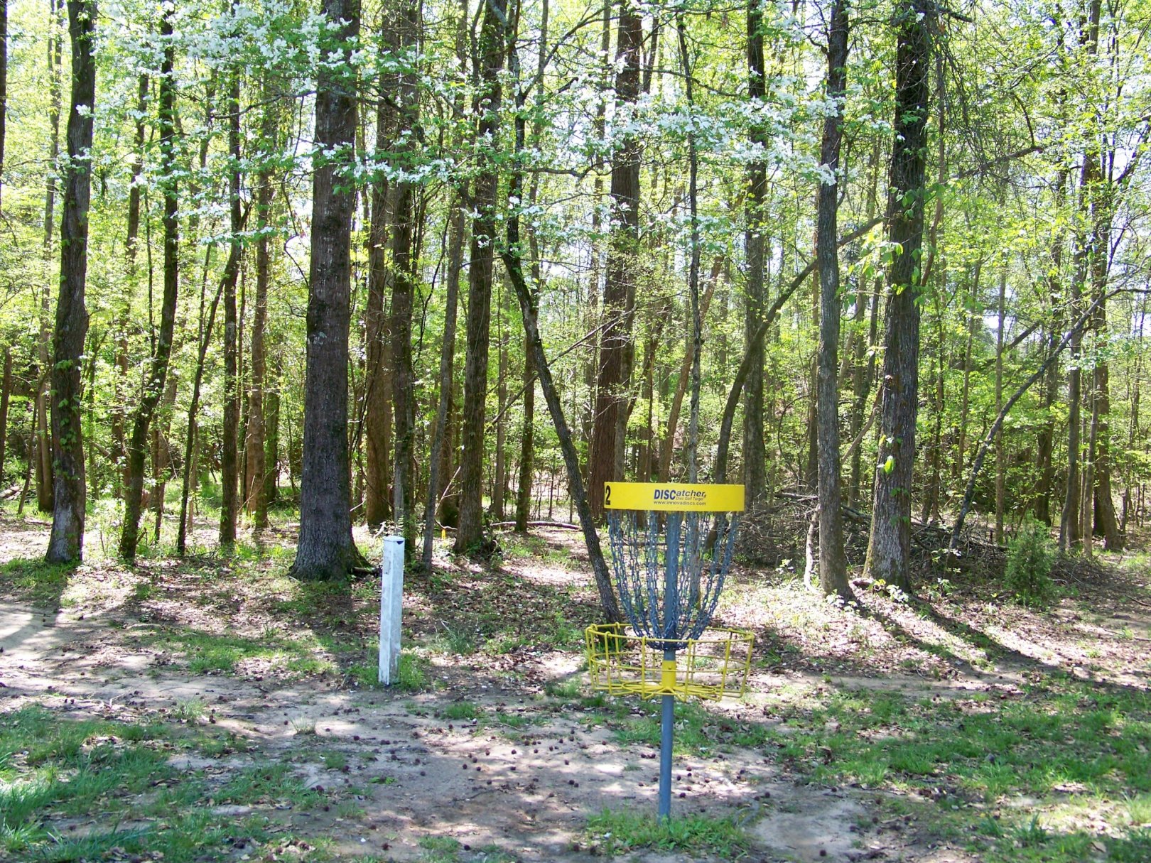 Hole 12 • Patriot's Park (Grovetown, GA) Disc Golf Courses Disc