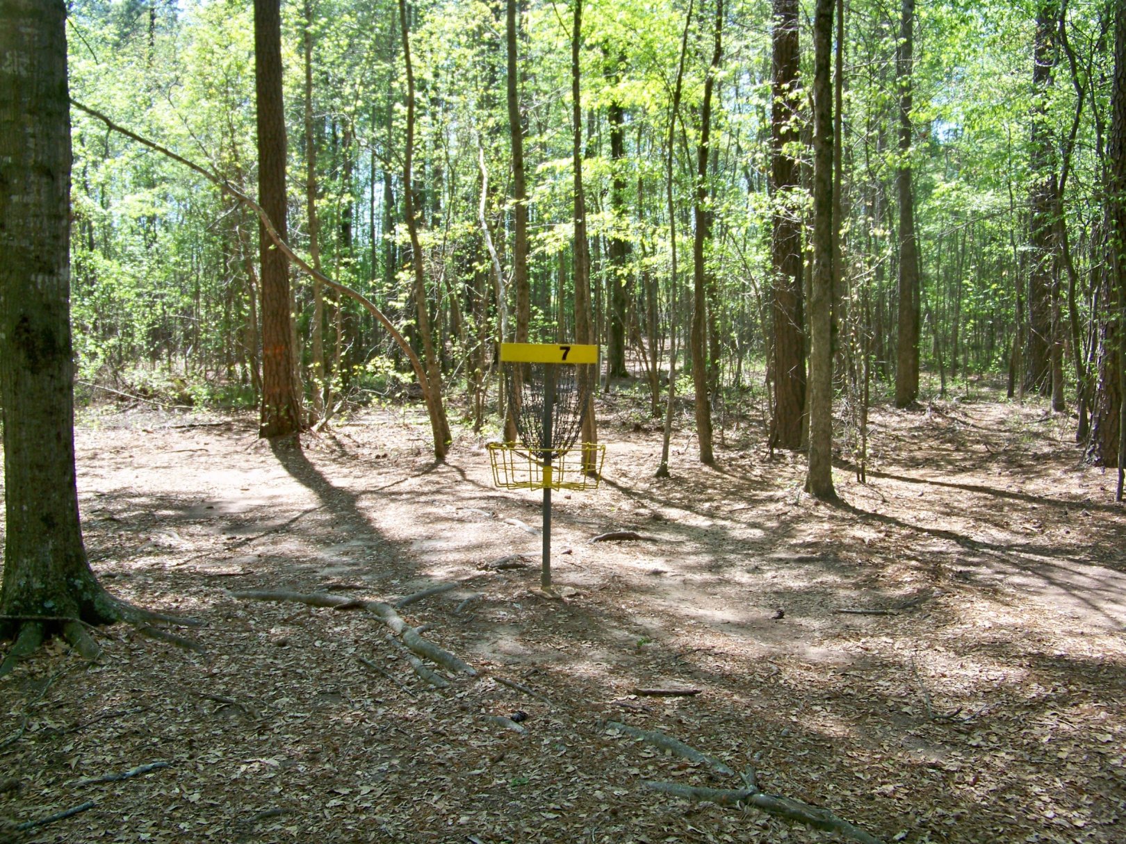 Hole 7 • Patriot's Park (Grovetown, GA) Disc Golf Courses Disc Golf