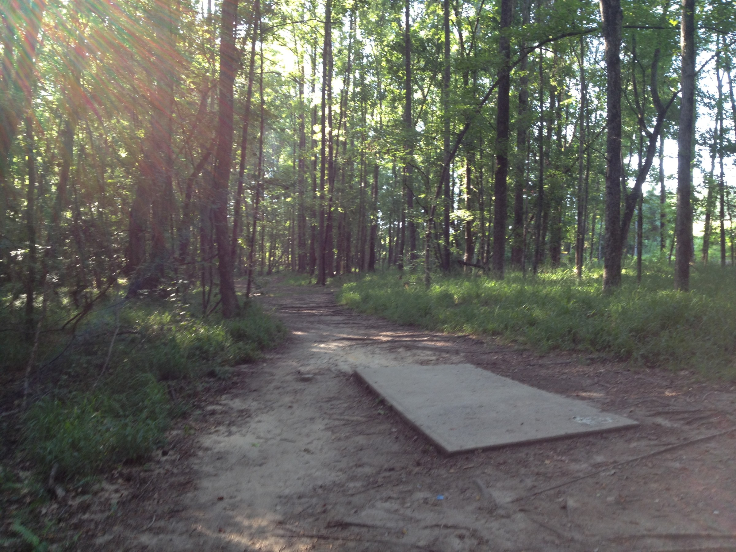 Hole 13 • Patriot's Park (Grovetown, GA) Disc Golf Courses Disc