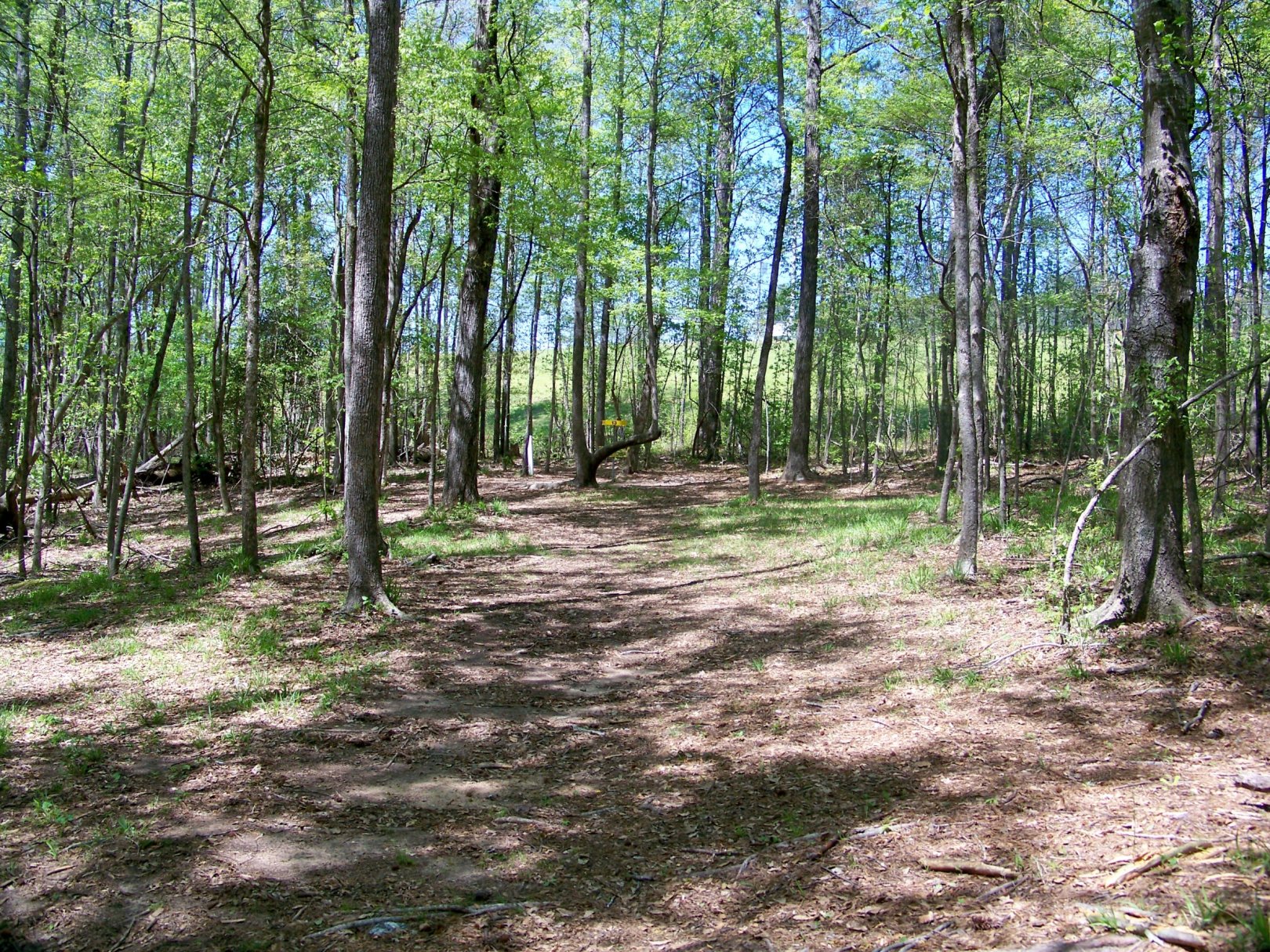 Hole 13 • Patriot's Park (Grovetown, GA) Disc Golf Courses Disc