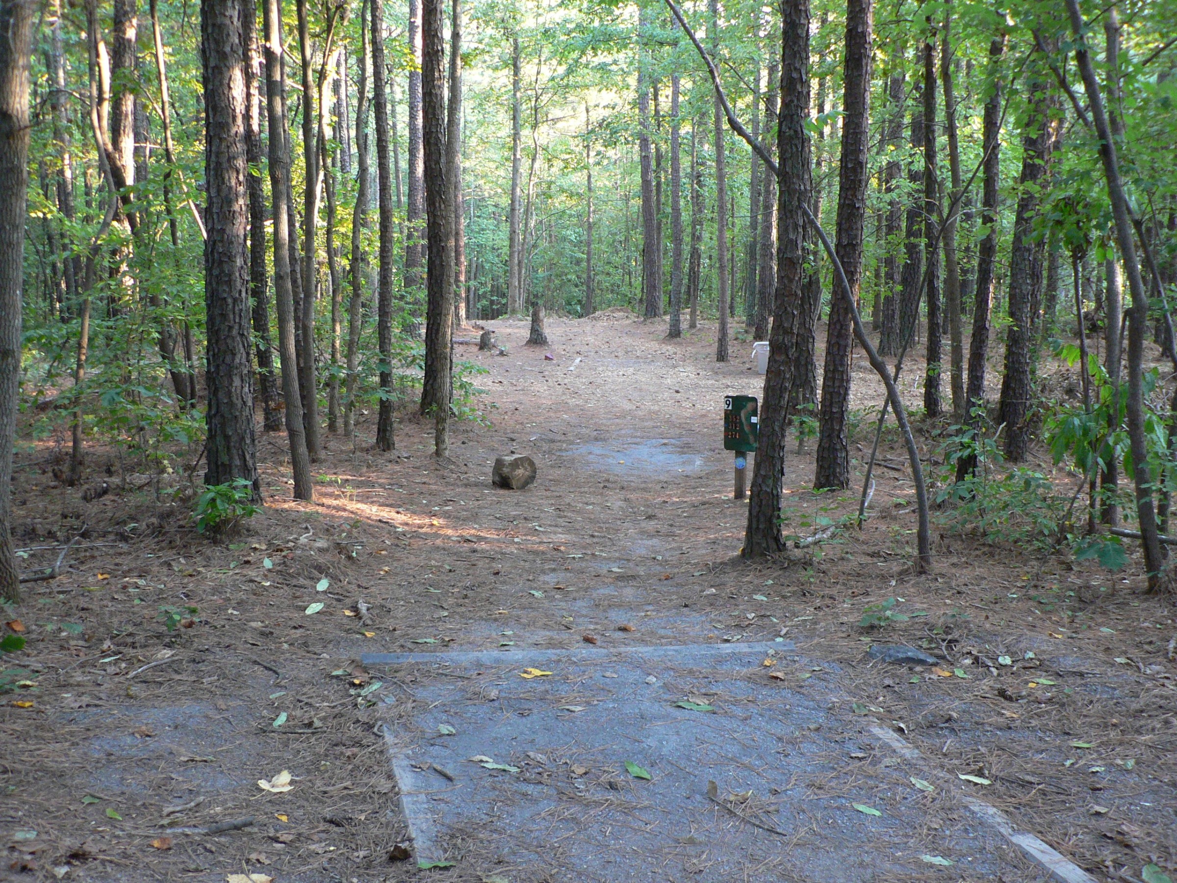 Hole 9 • East Roswell Park (Roswell, GA) Disc Golf Courses Disc