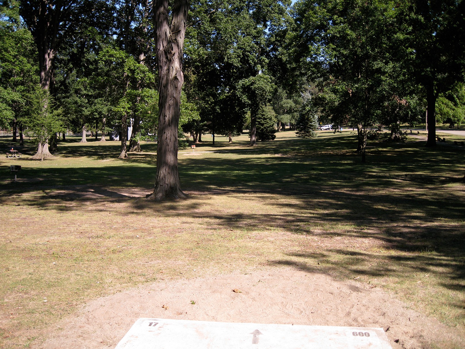 Hole 17 • Victory Park (Albion, MI) Disc Golf Courses Disc Golf Scene