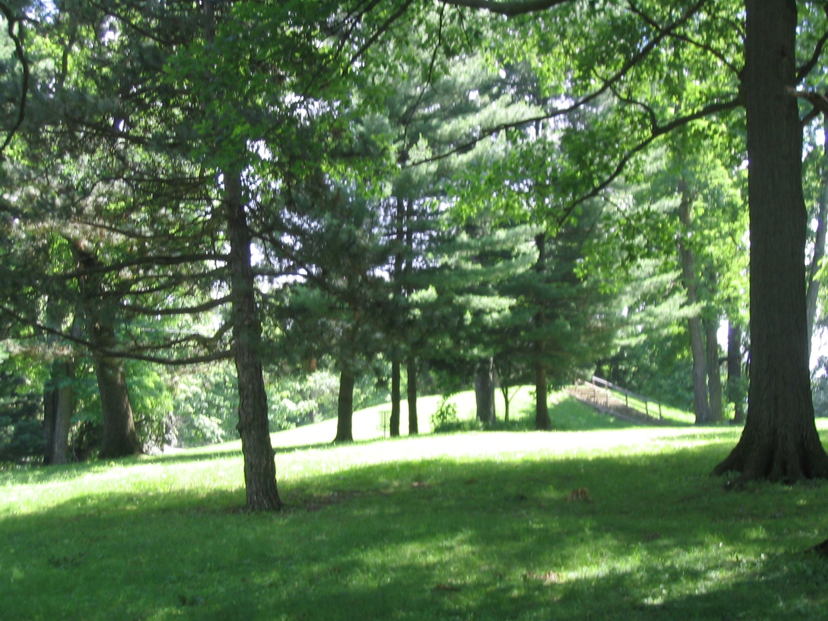 Hole 1 • Victory Park (Albion, MI) Disc Golf Courses Disc Golf Scene