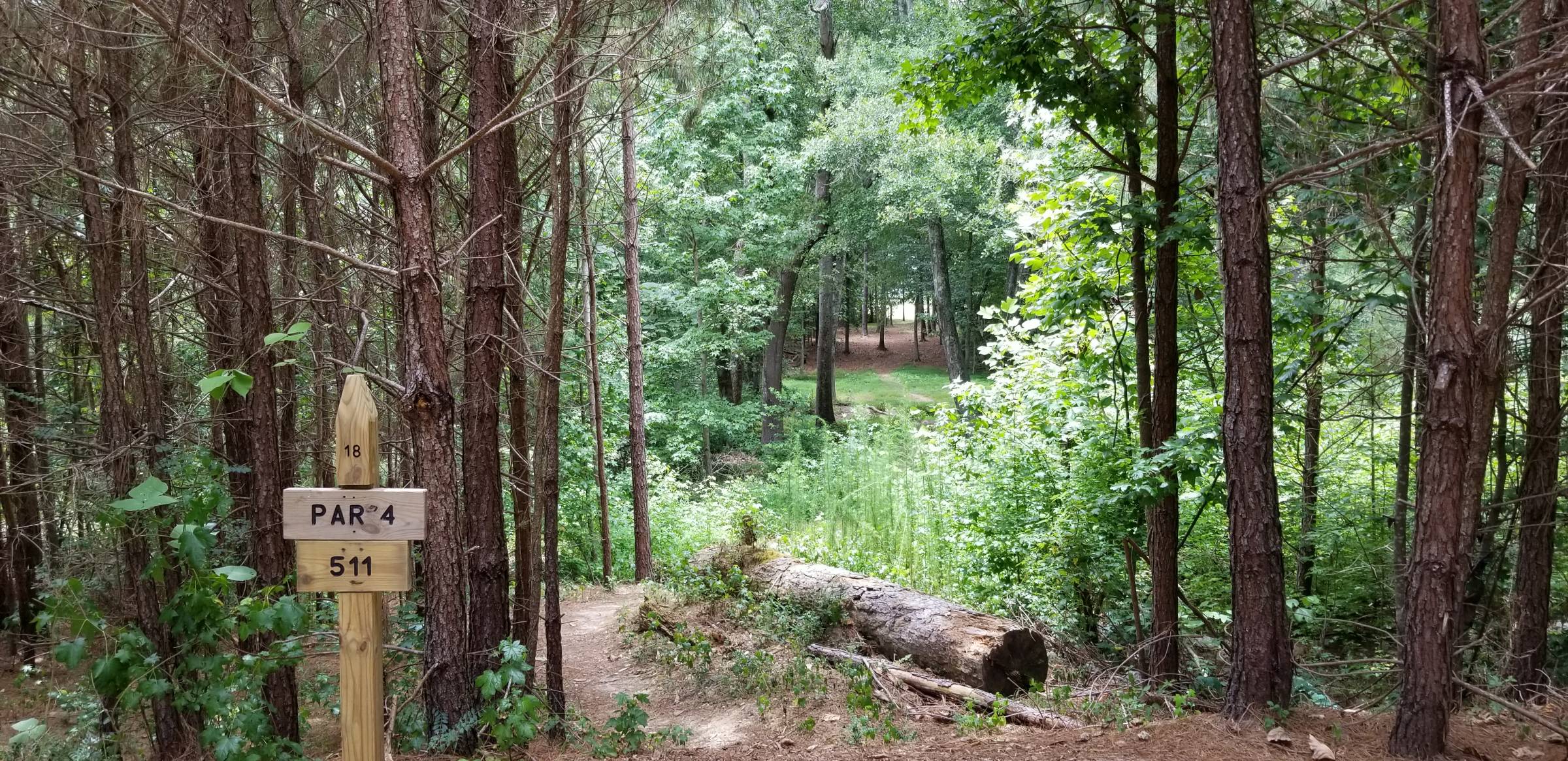 Hole 18 • Dog River Disc Golf Course (Douglasville, GA) Disc Golf