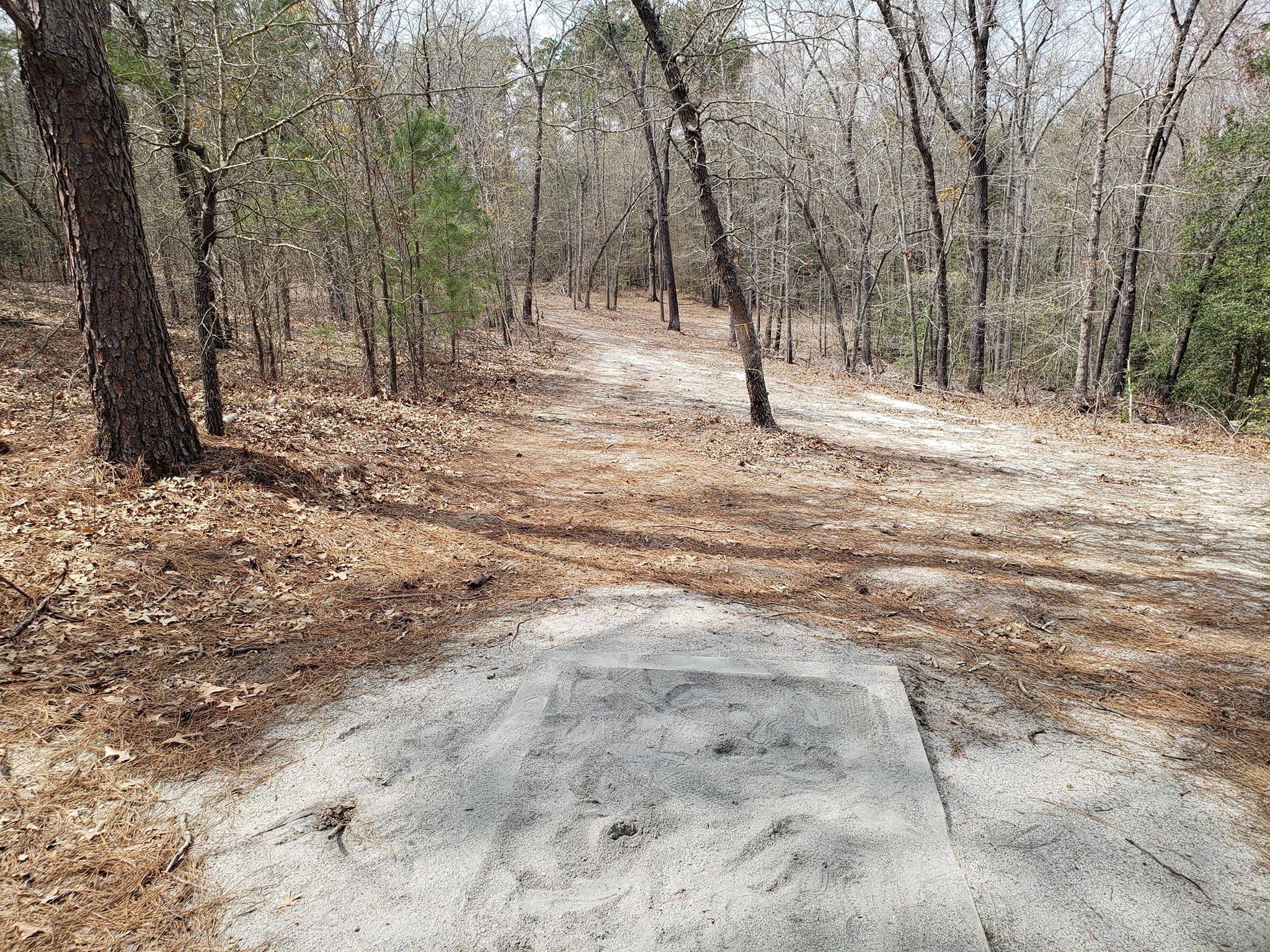 Hole 12 • Hinson Lake Park (Rockingham, NC) Disc Golf Courses Disc