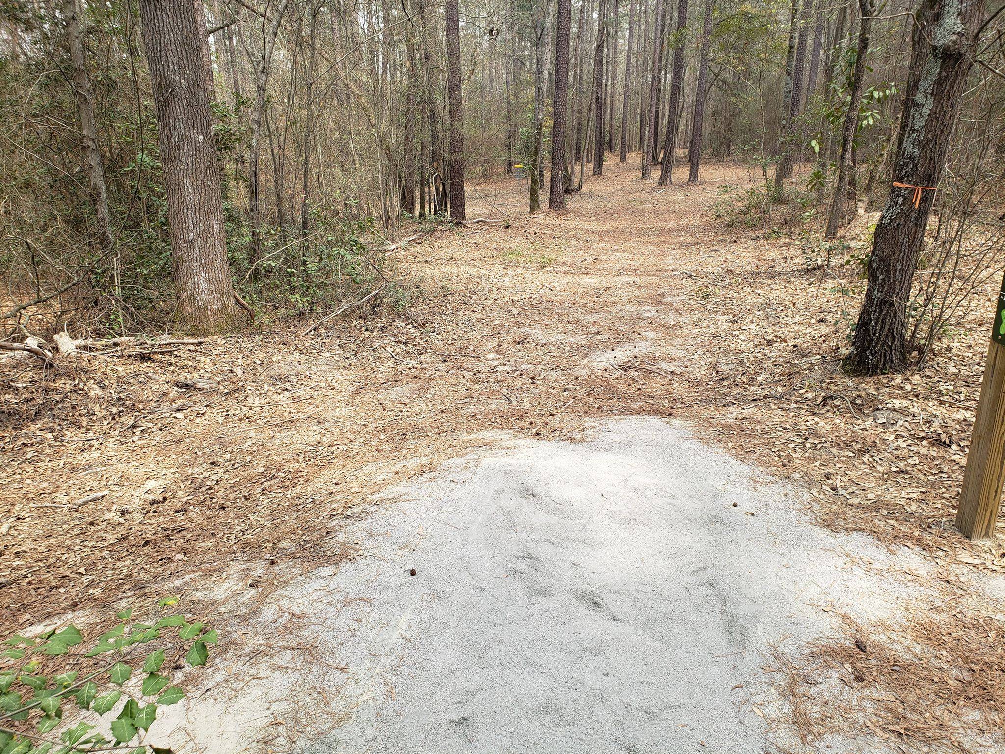 Hole 3 • Hinson Lake Park (Rockingham, NC) Disc Golf Courses Disc