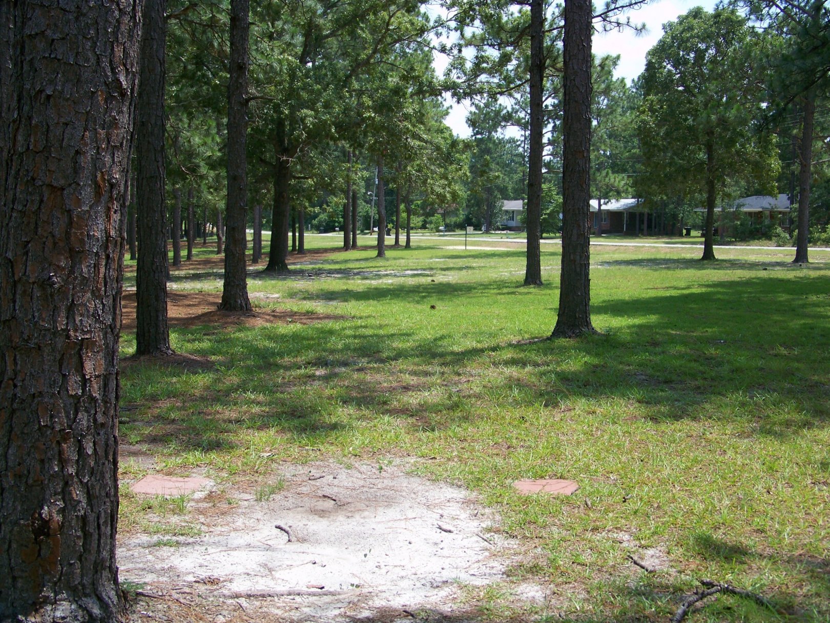 Hole 12 • East College (Swainsboro, GA) Disc Golf Courses