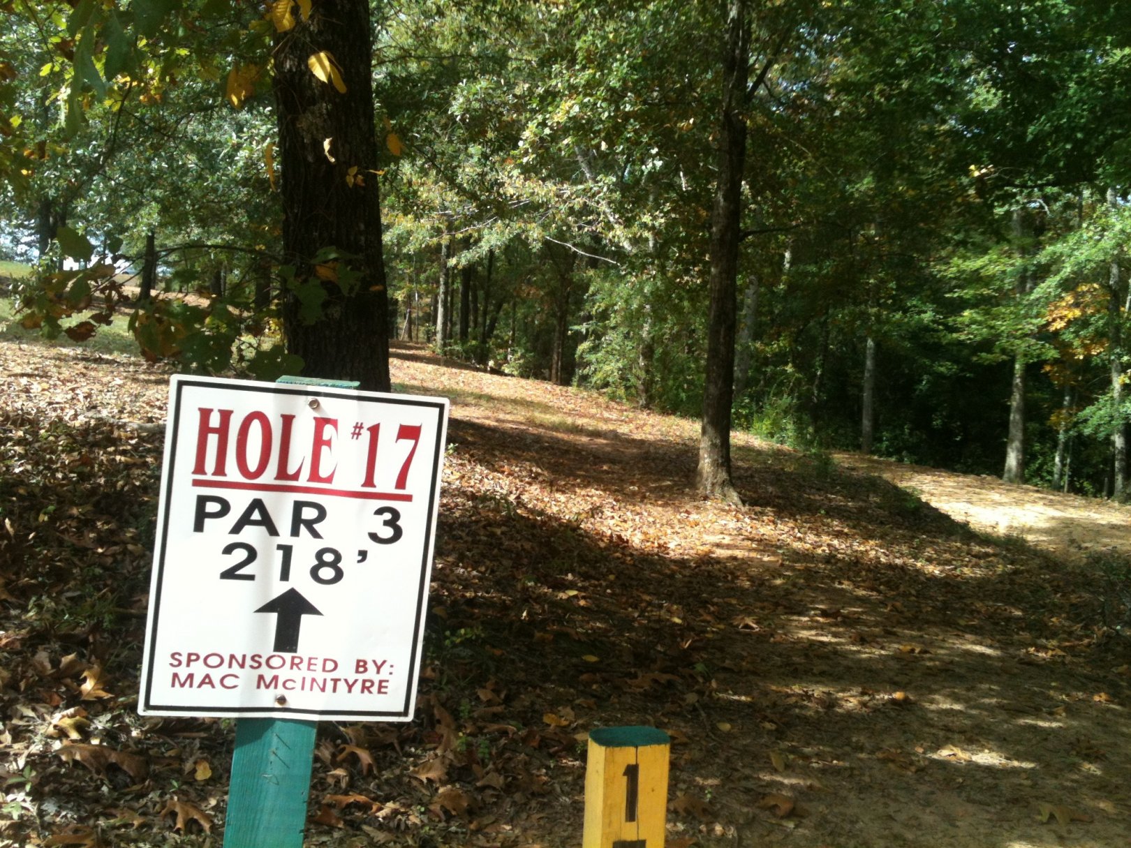 Hole 17 • Stephens County/Rose Lane (Toccoa, GA) Disc Golf Courses