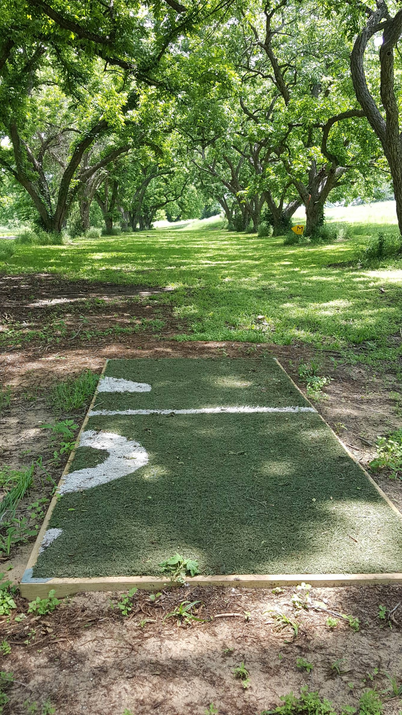 Hole 9 • Heritage Park Belton (Belton, TX) Disc Golf Courses Disc
