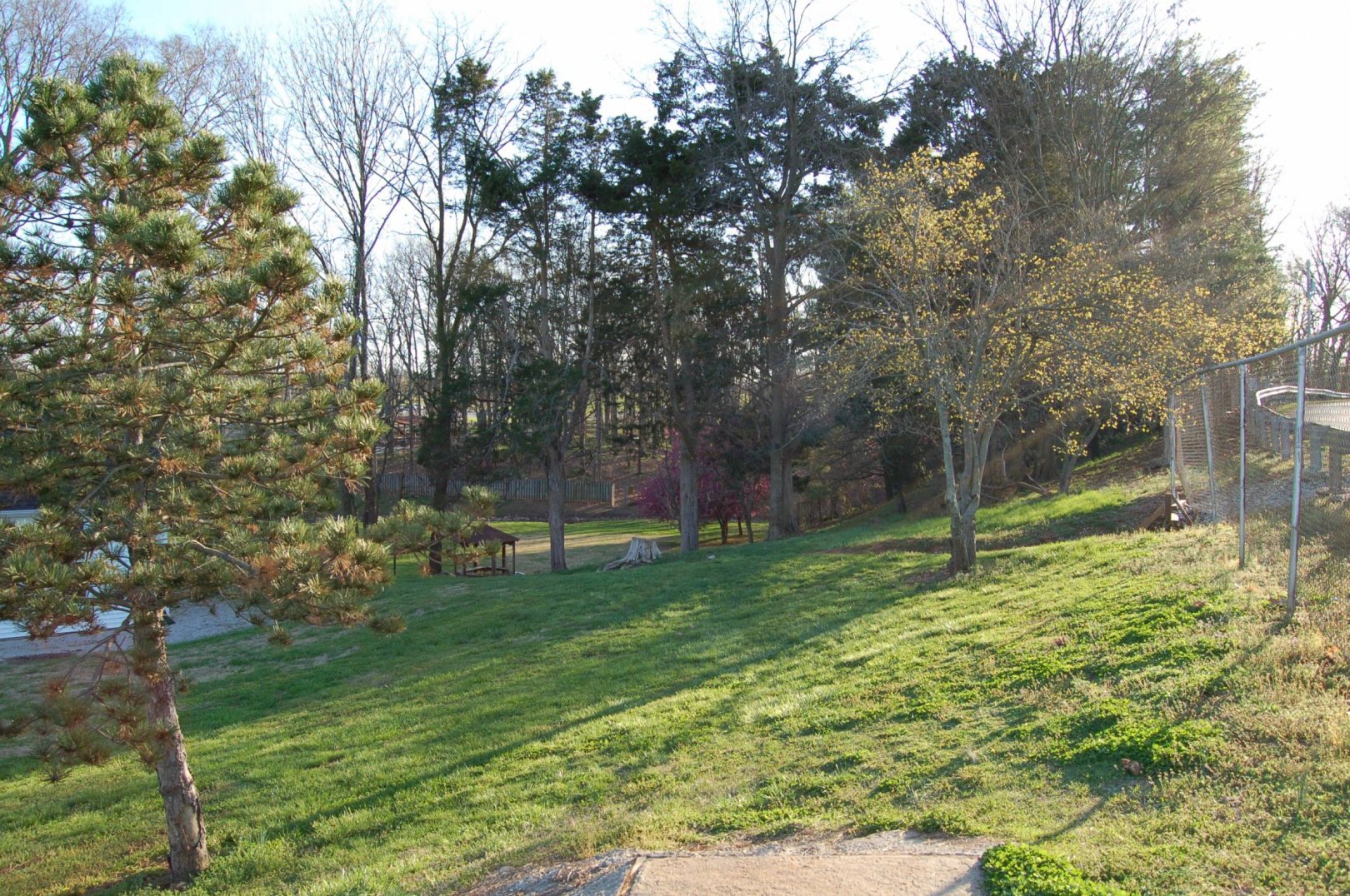 Hole 7 • Basil Griffin Park (Bowling Green, KY) Disc Golf Courses