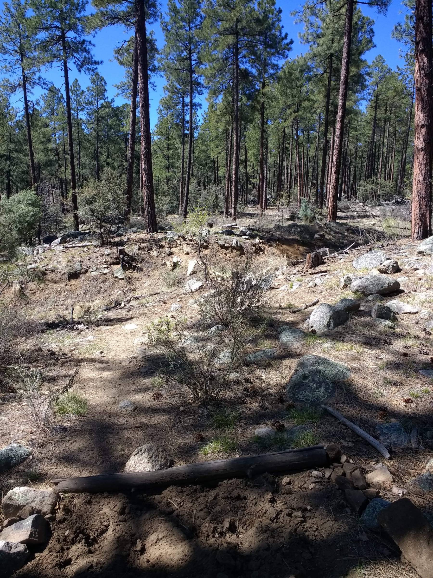 Hole 2 • Ponderosa Park (Prescott, AZ) Disc Golf Courses Disc Golf